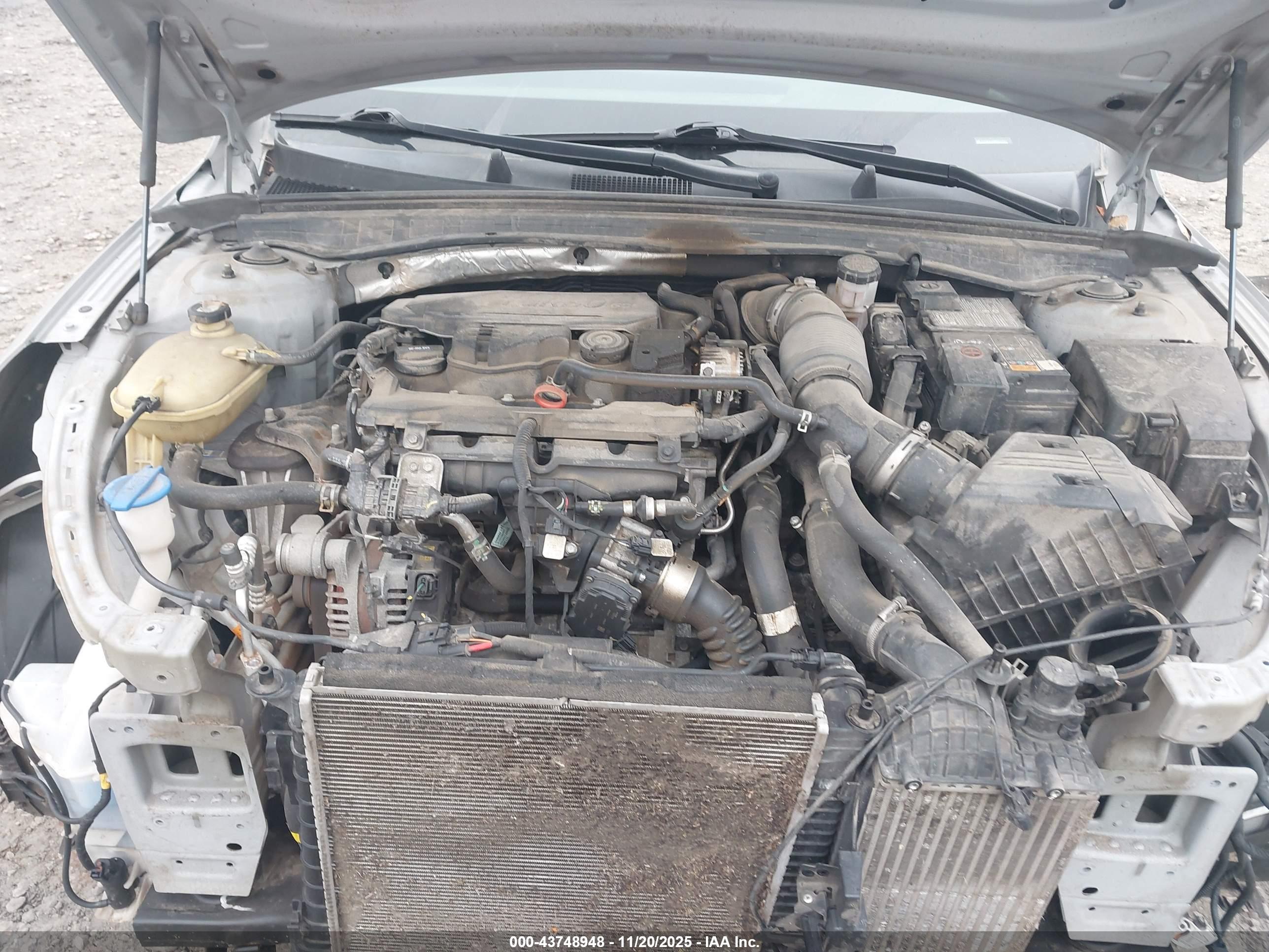 KIA K5 image 10