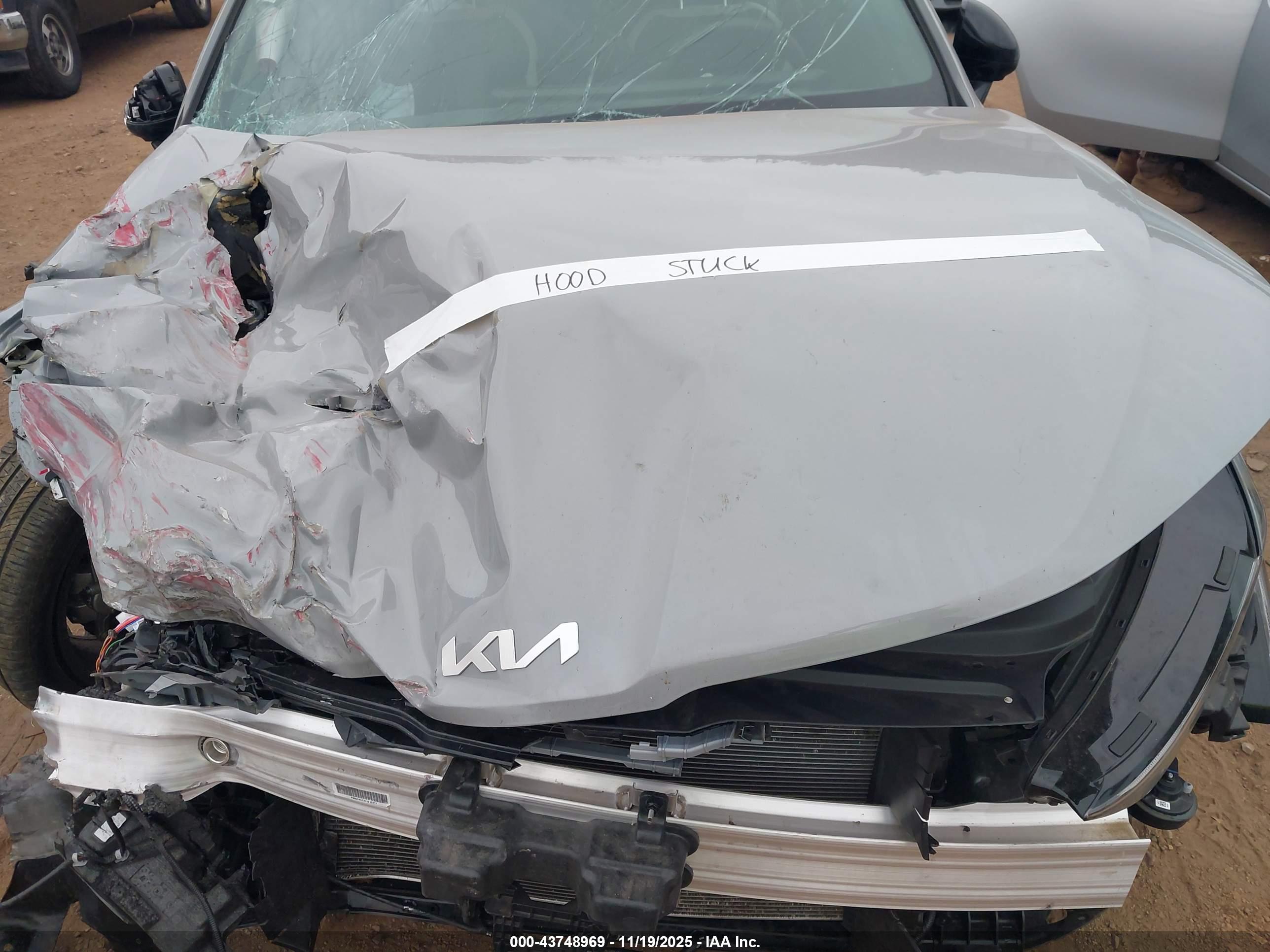 KIA K5 image 10