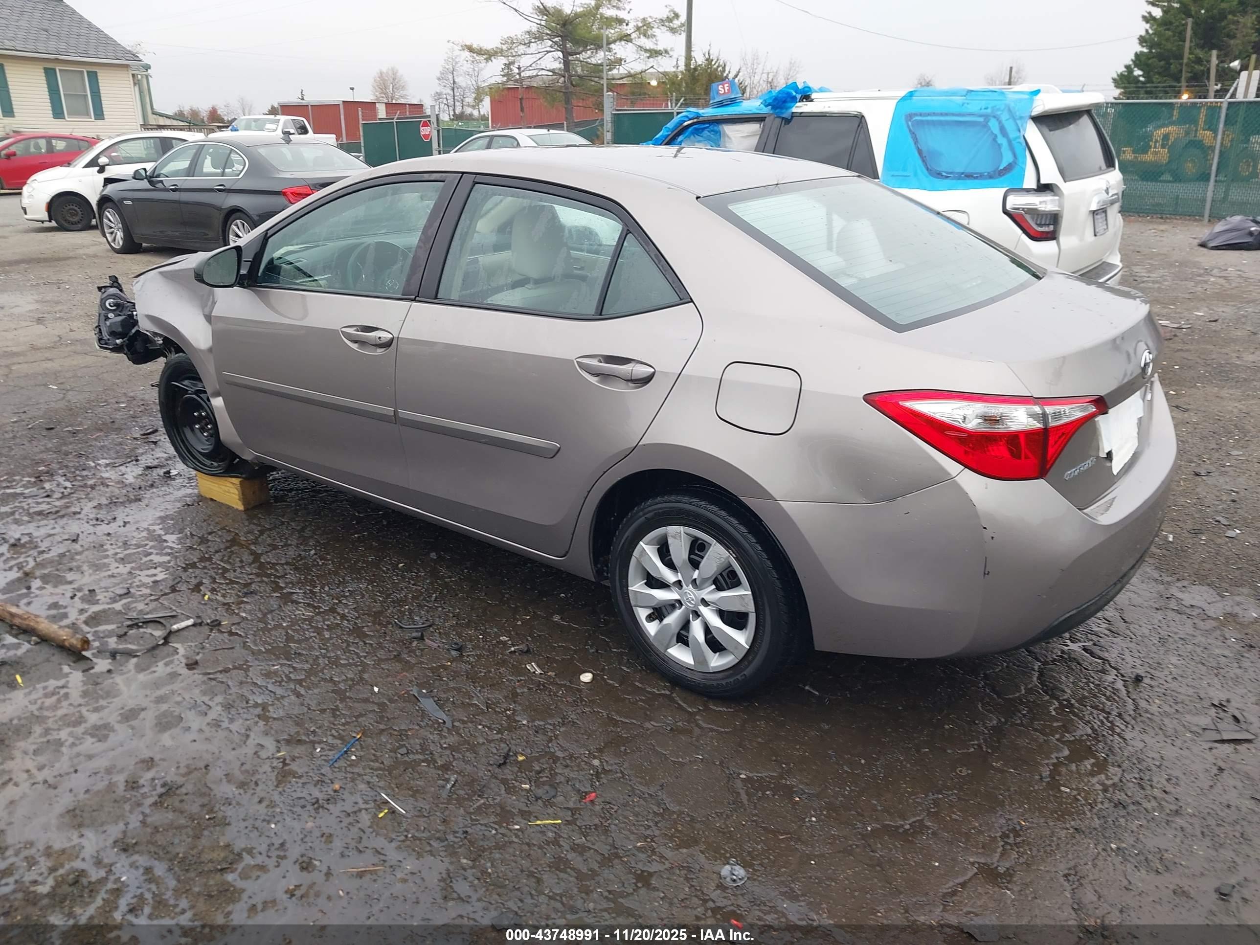 TOYOTA COROLLA image 3