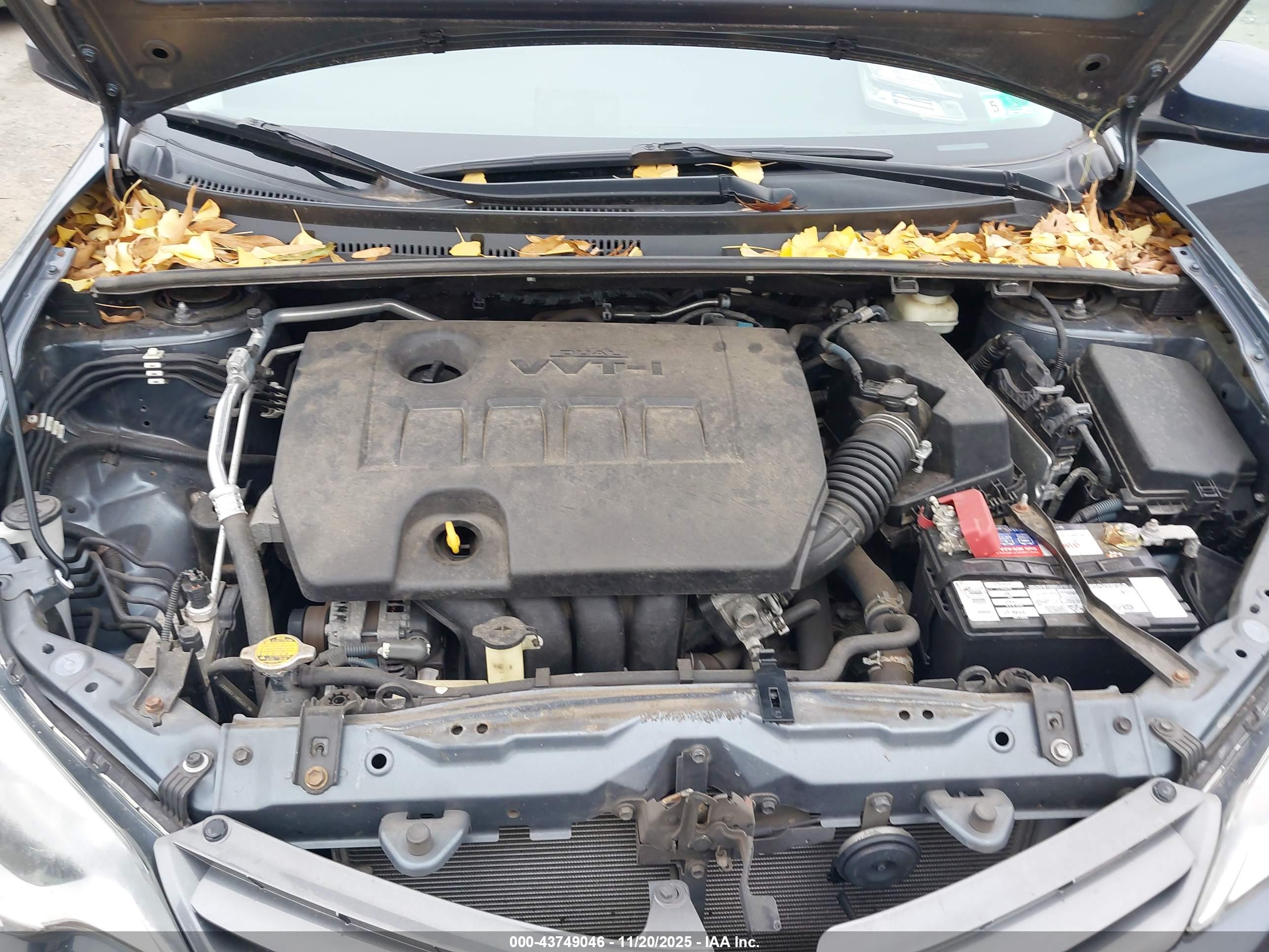TOYOTA COROLLA image 10