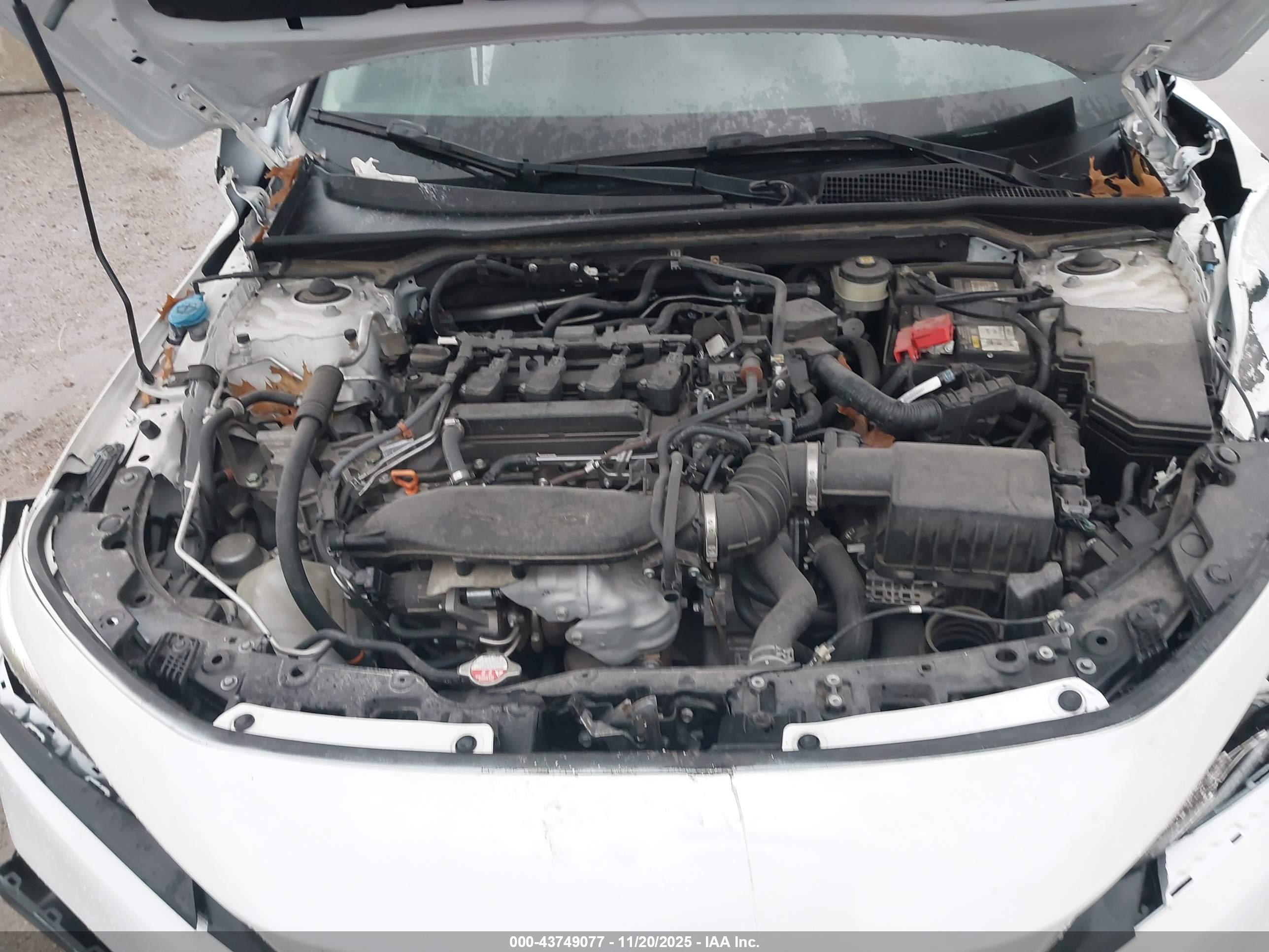 HONDA CIVIC image 10