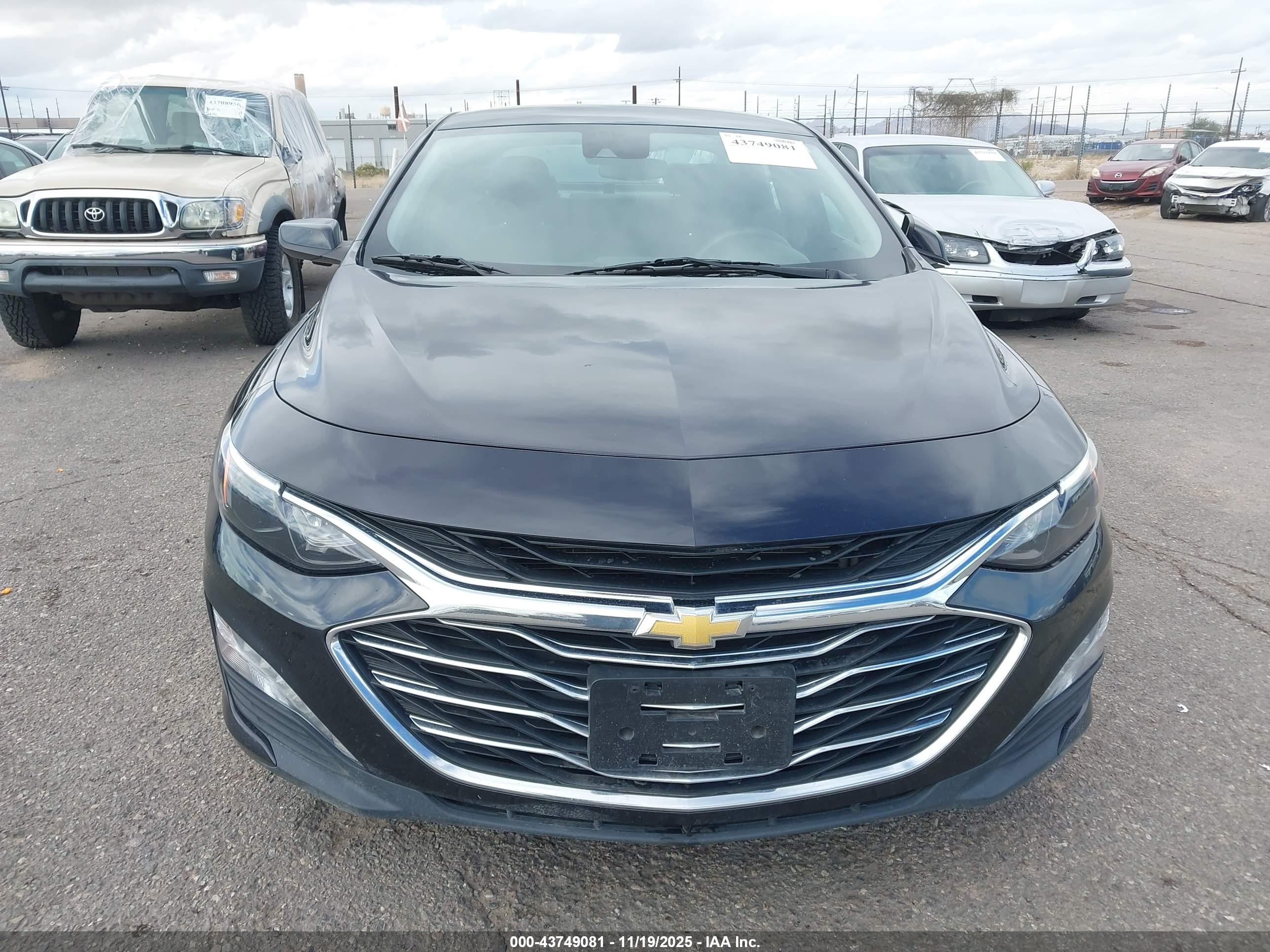 CHEVROLET MALIBU image 6