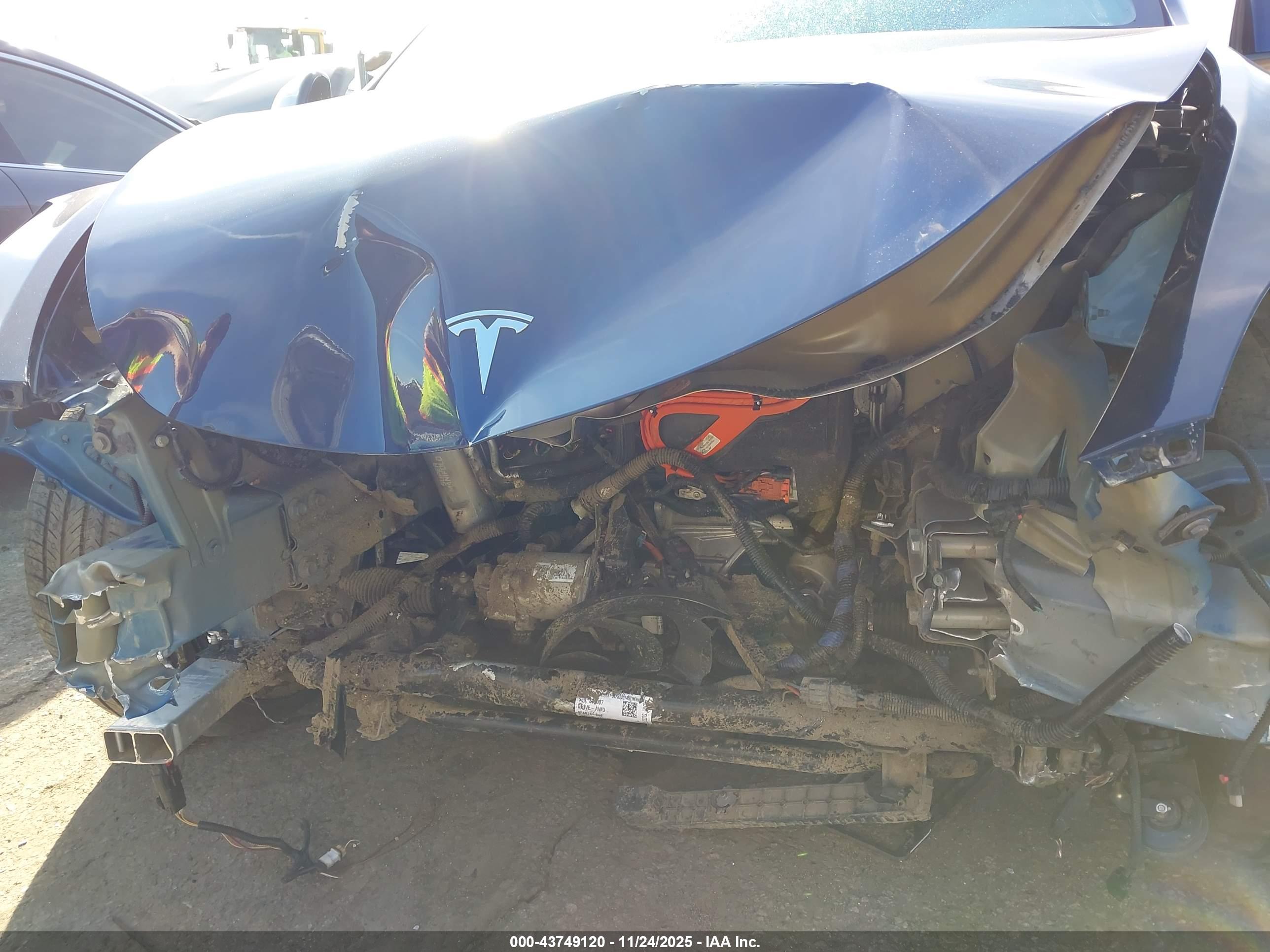 TESLA MODEL image 6