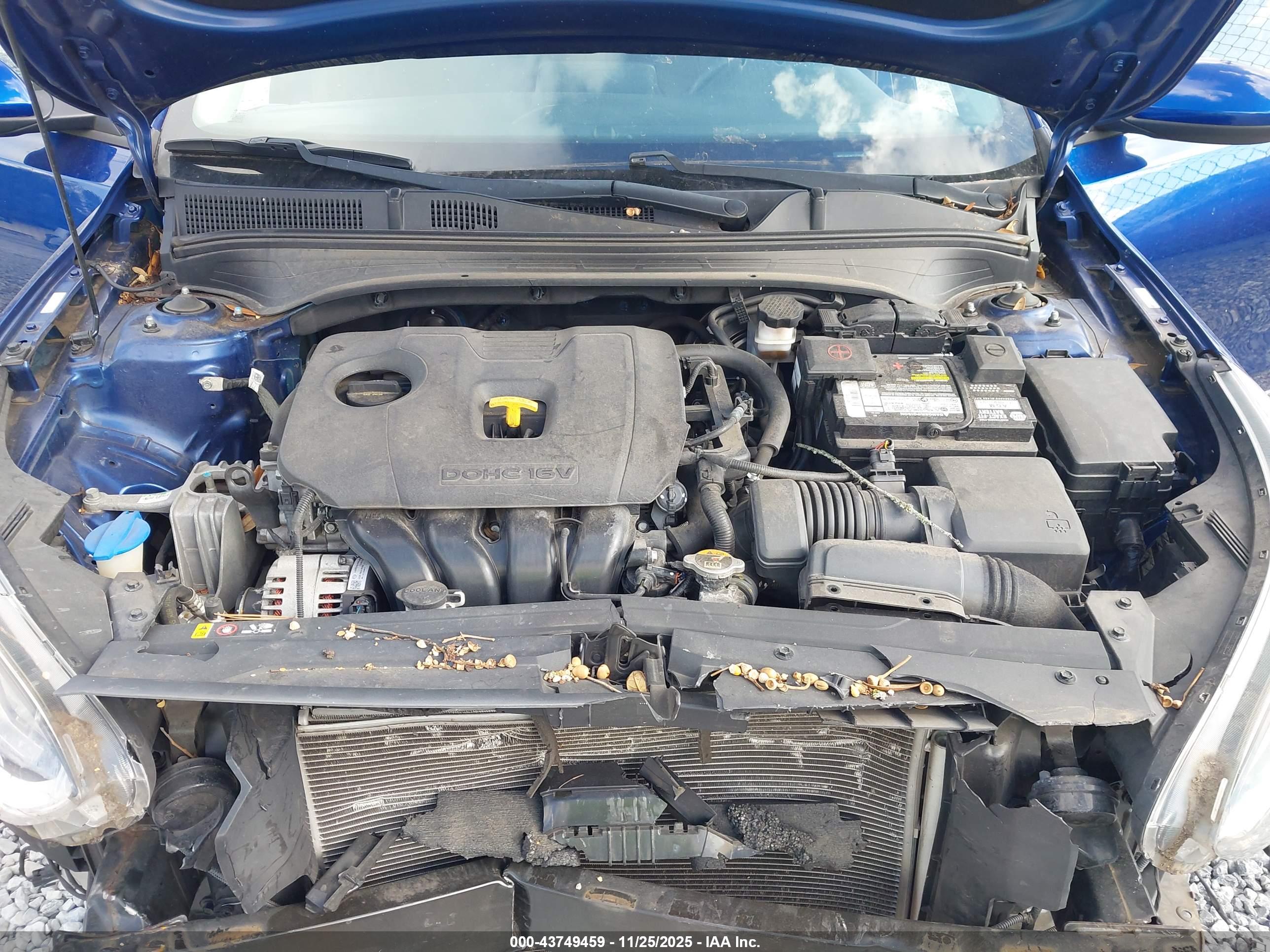 KIA FORTE image 10