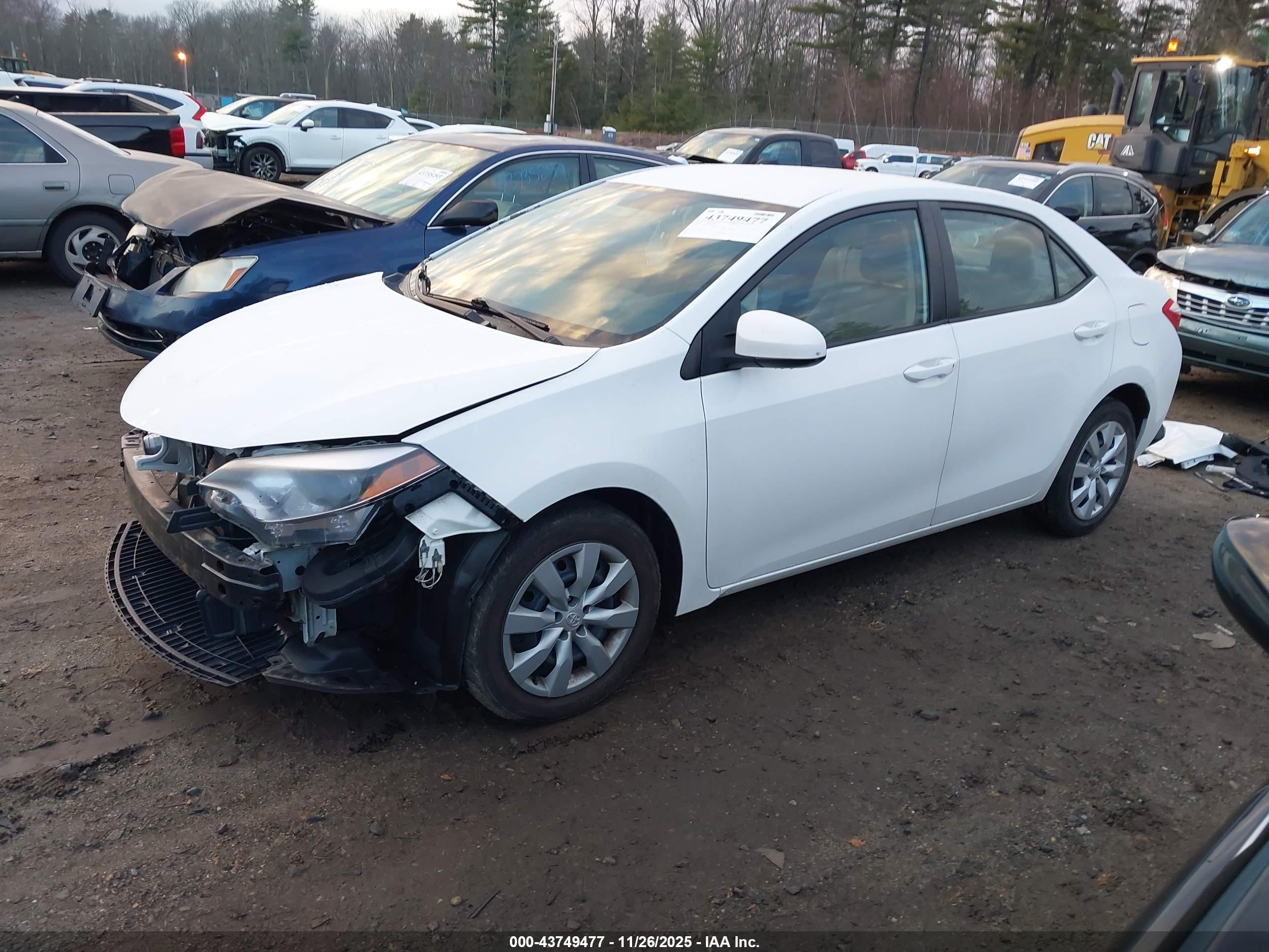 TOYOTA COROLLA image 2