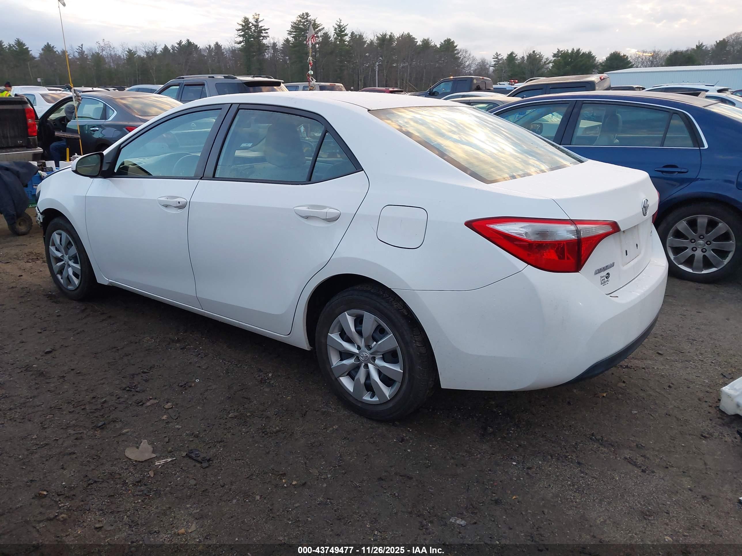 TOYOTA COROLLA image 3