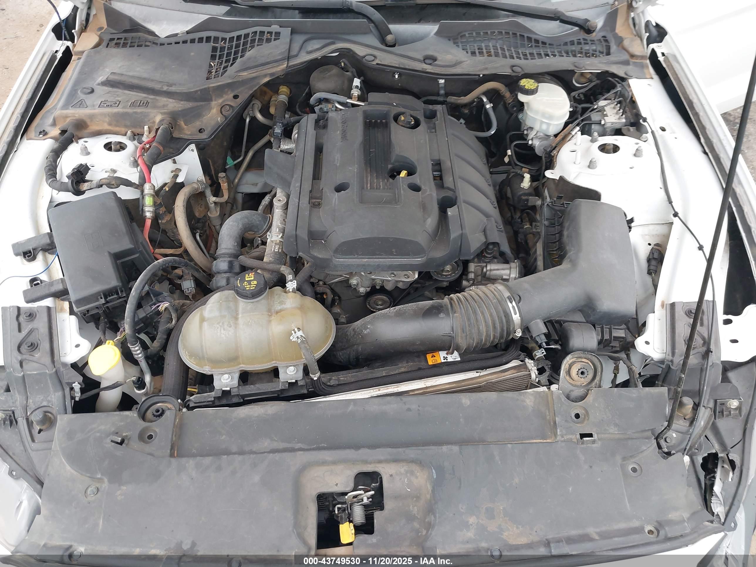 FORD MUSTANG image 10