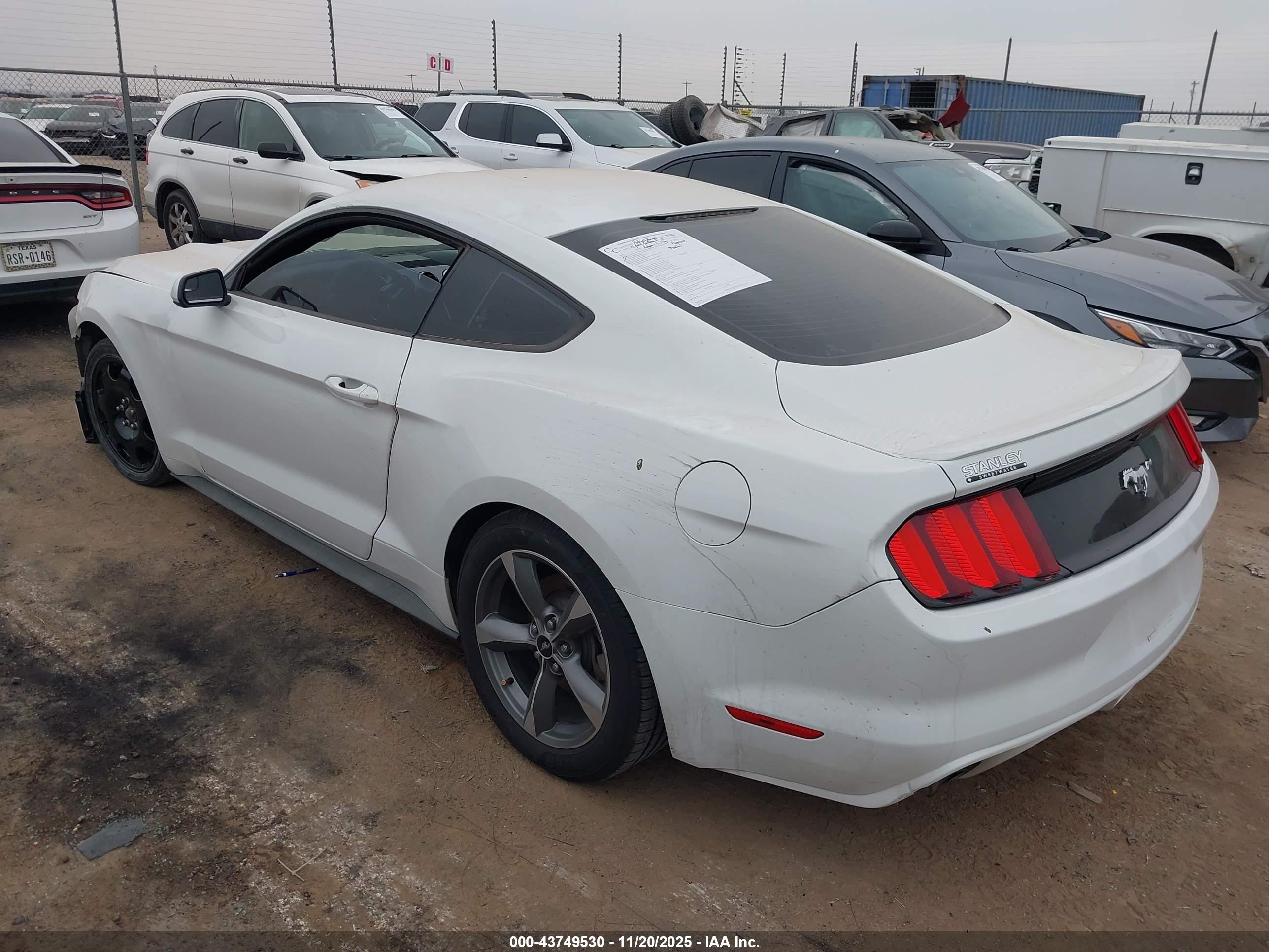 FORD MUSTANG image 3