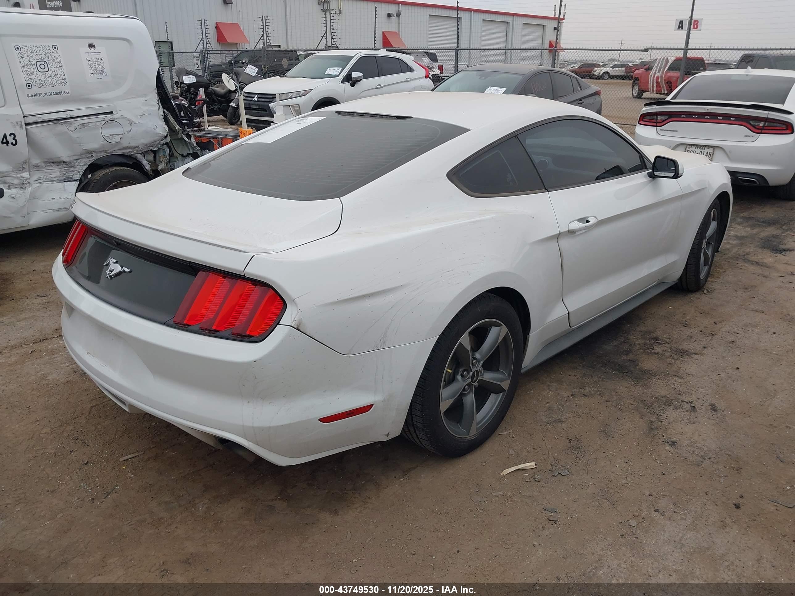 FORD MUSTANG image 4