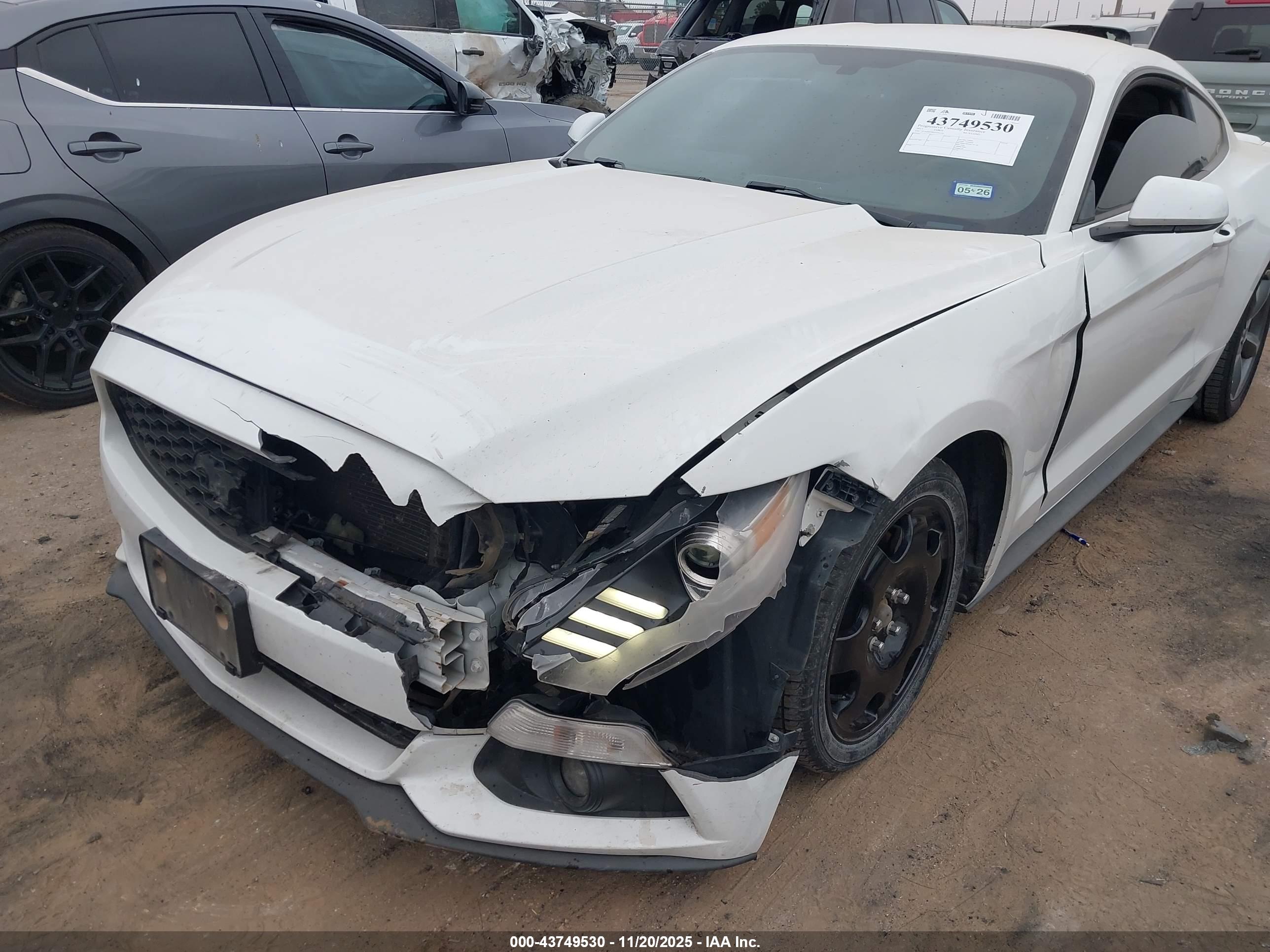 FORD MUSTANG image 6