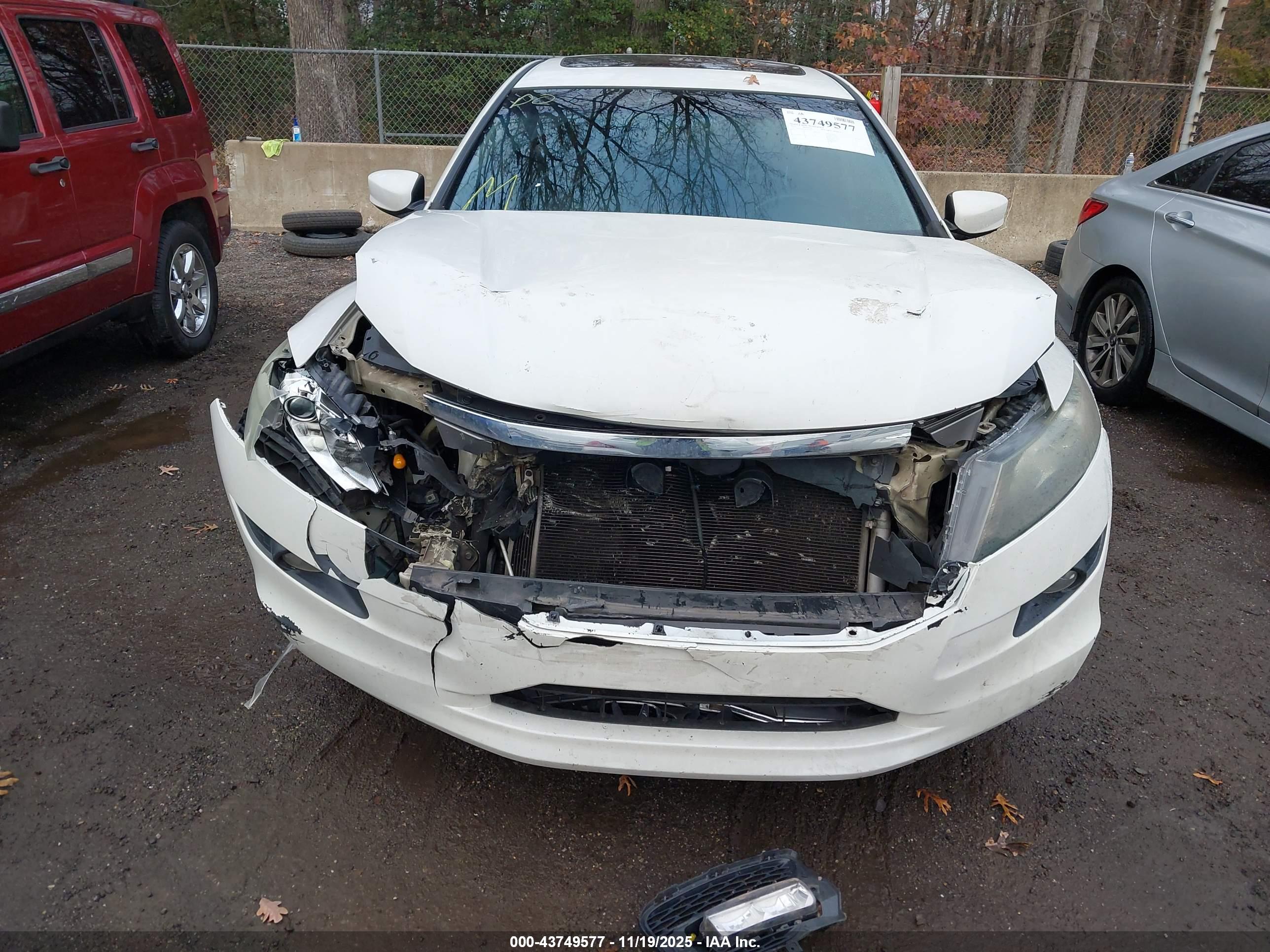 HONDA ACCORD image 6