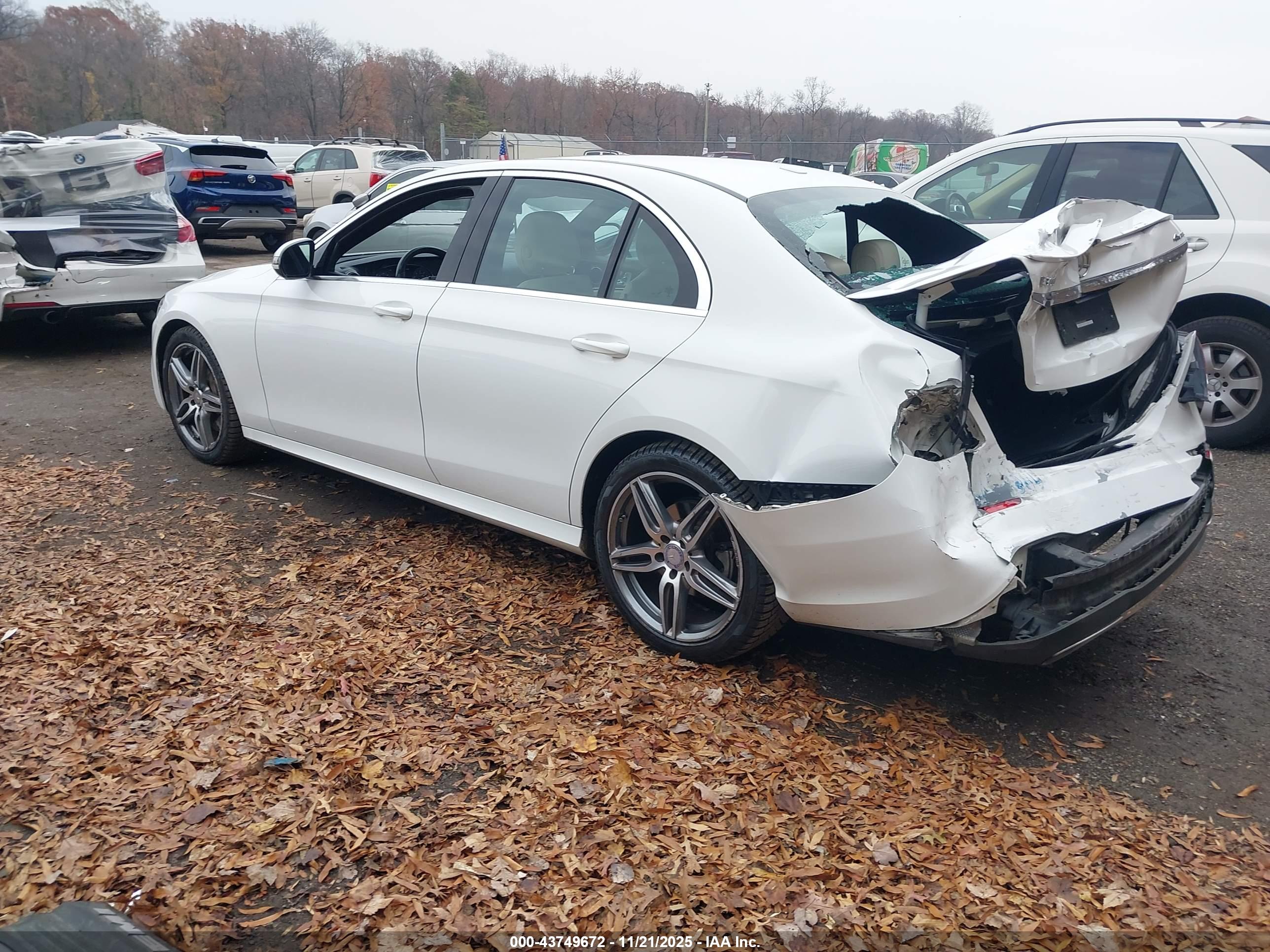 MERCEDES-BENZ E image 3