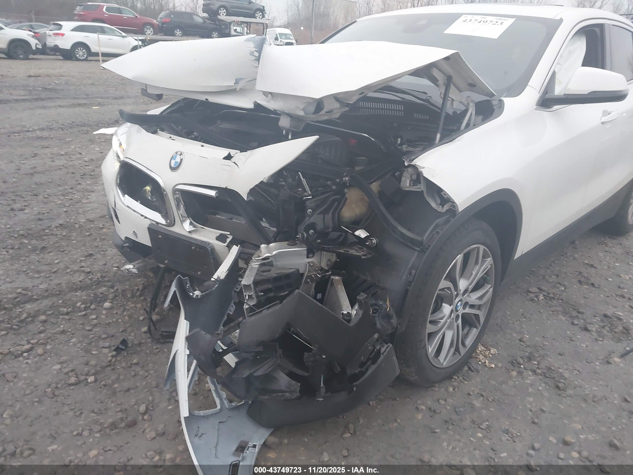 BMW X2 image 6