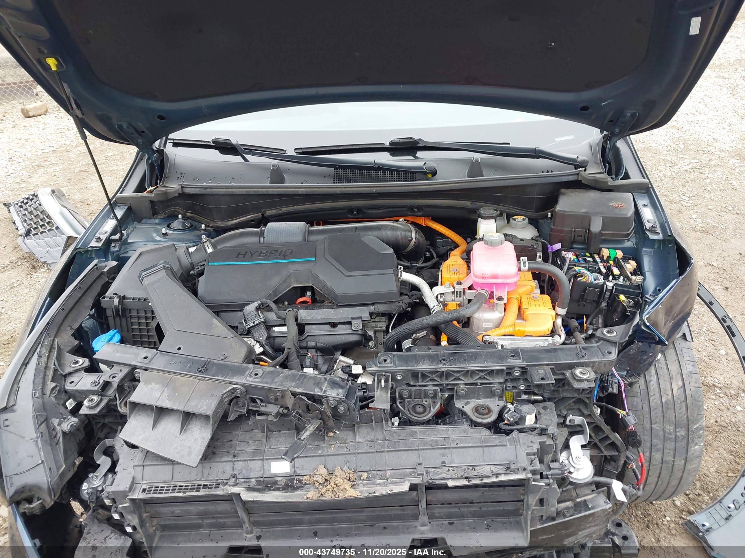 KIA SPORTAGE image 10