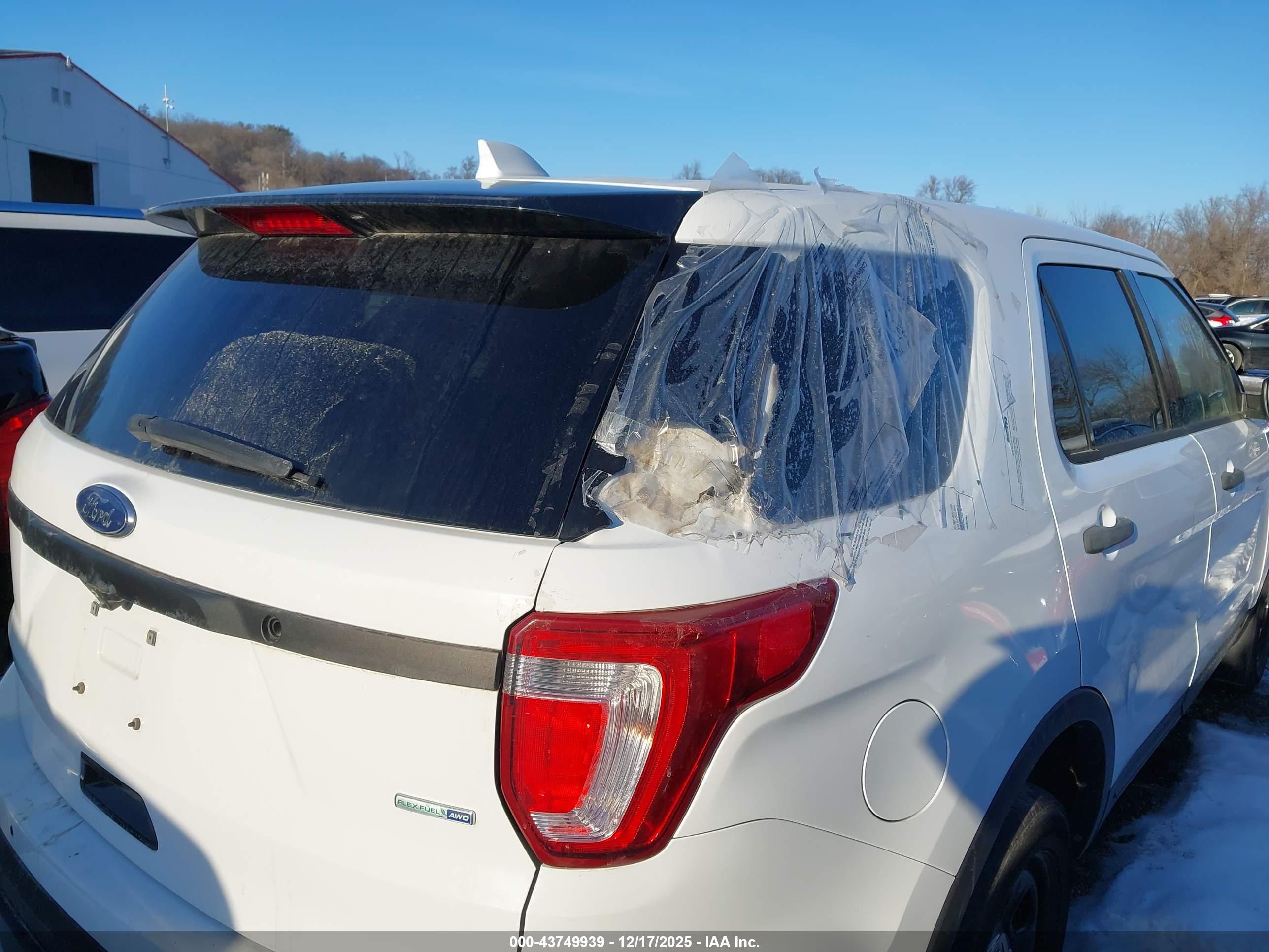 FORD UTILITY image 6