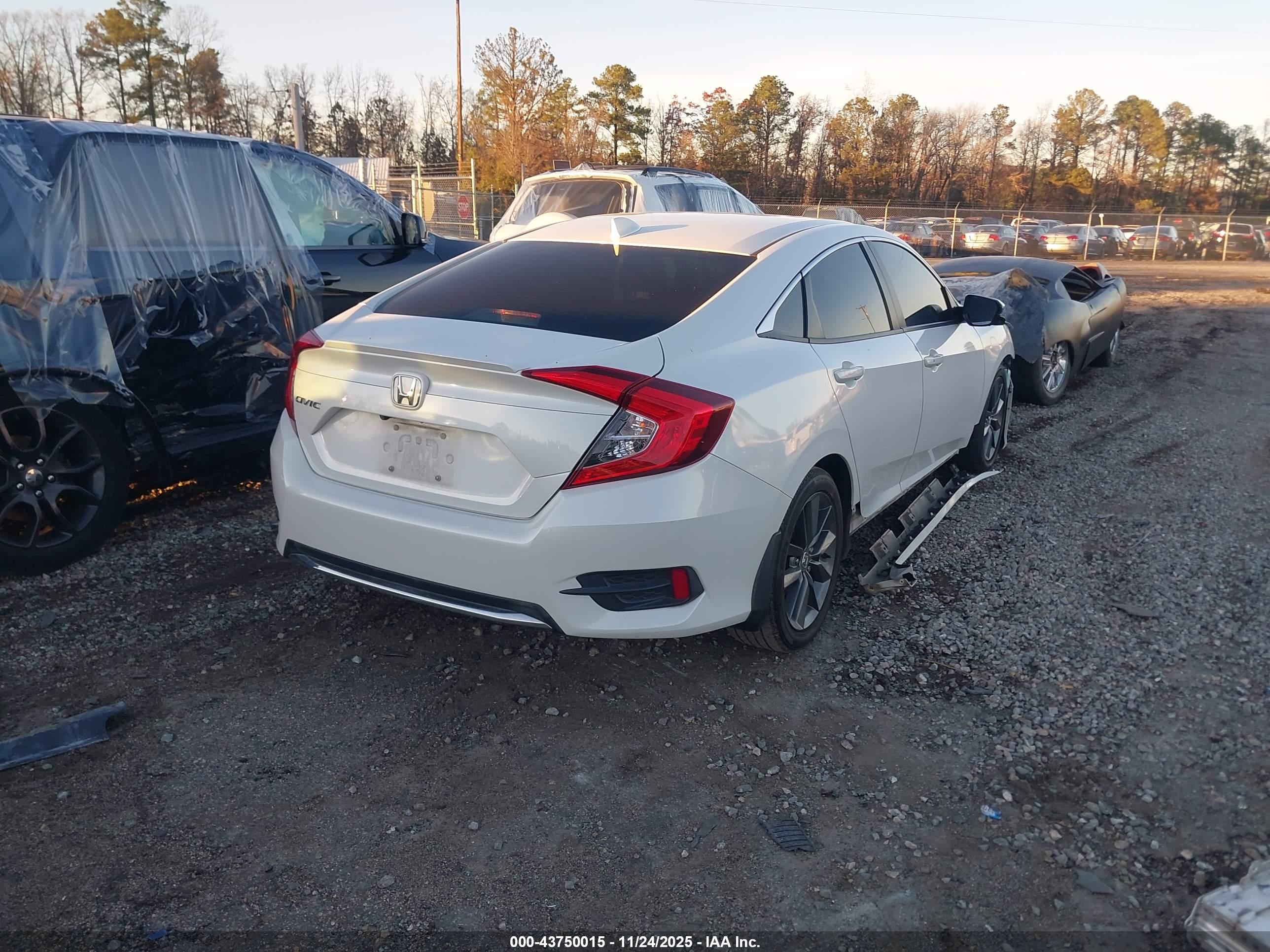 HONDA CIVIC image 4