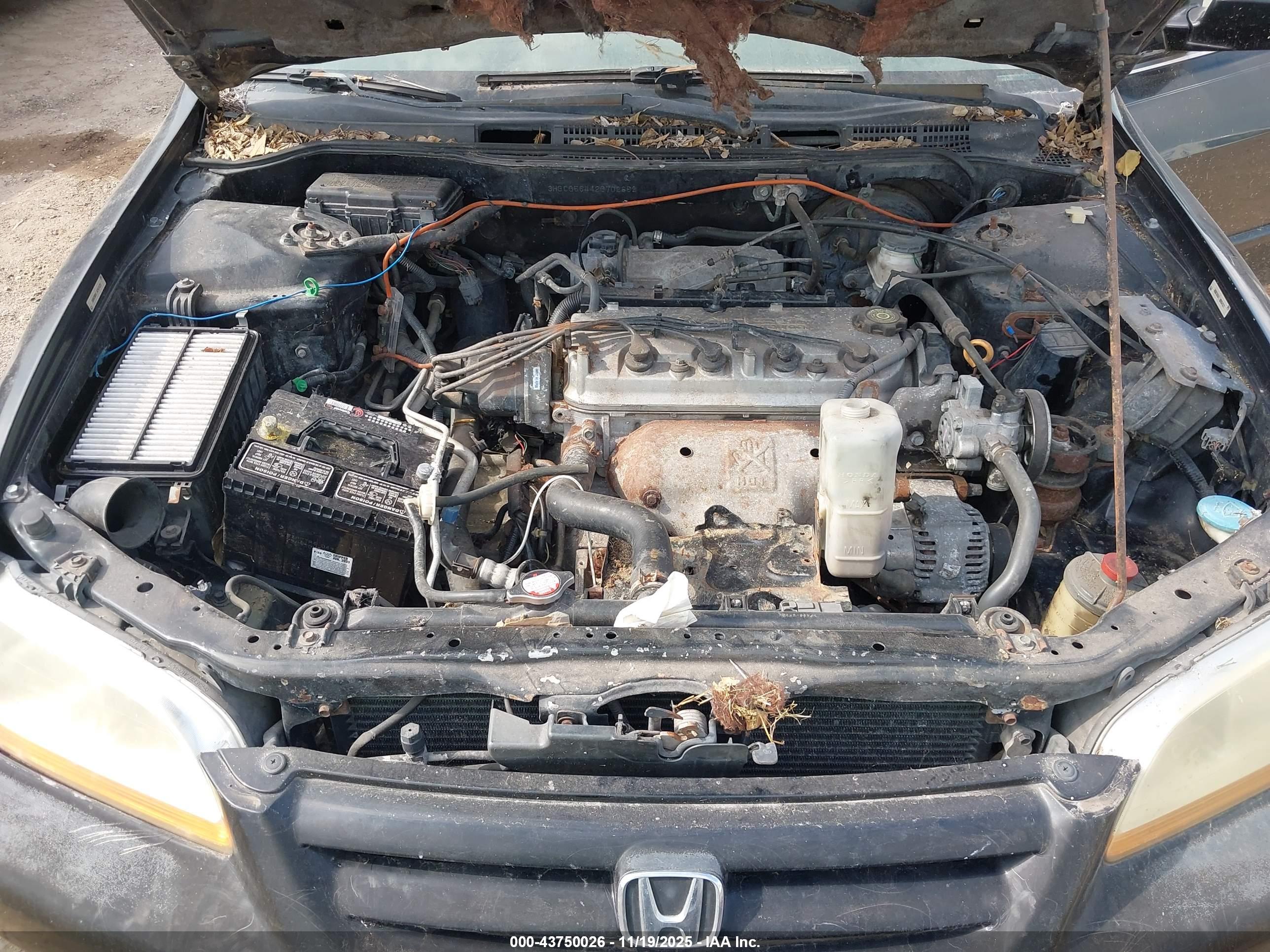 HONDA ACCORD image 10