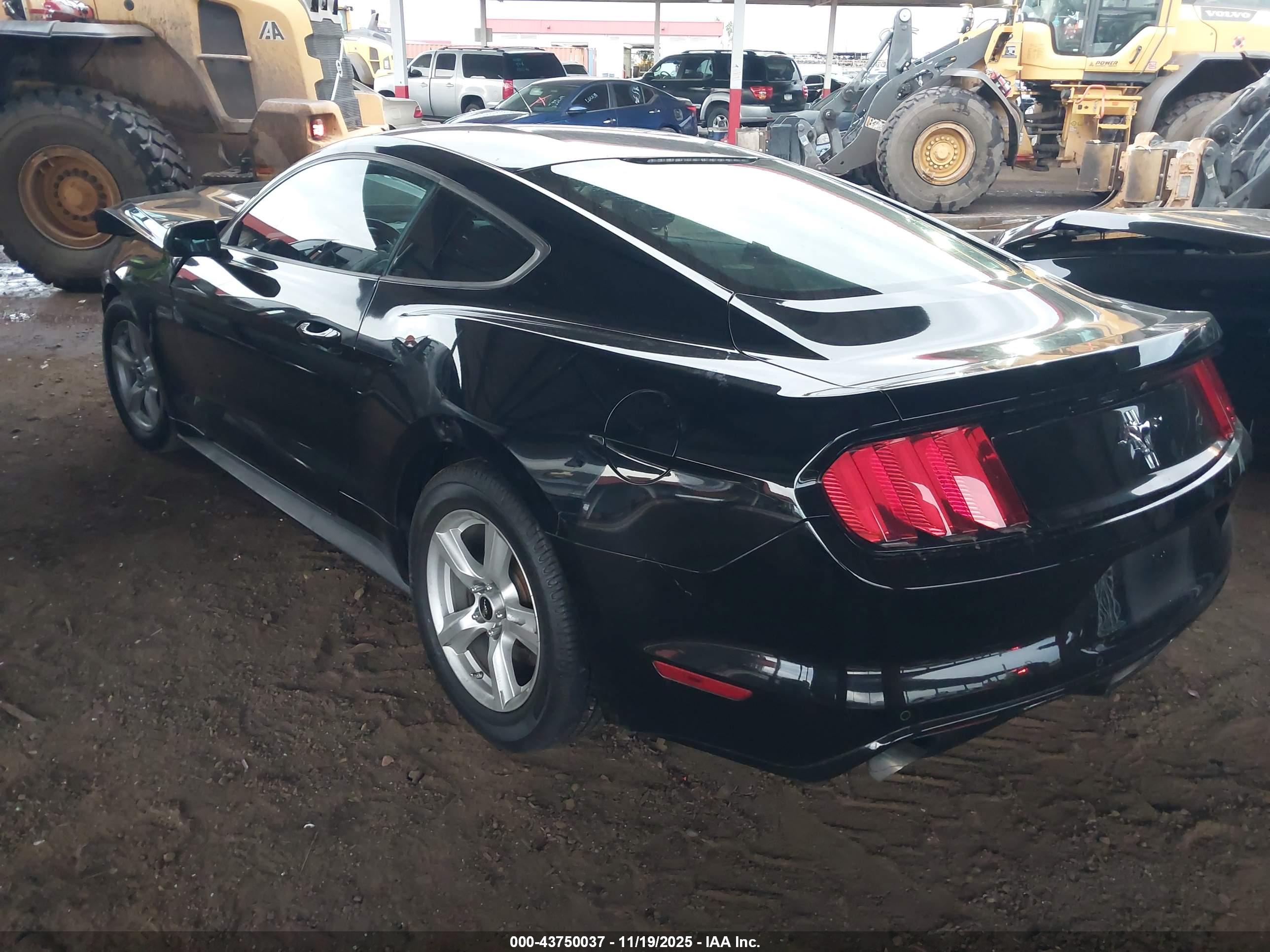 FORD MUSTANG image 3