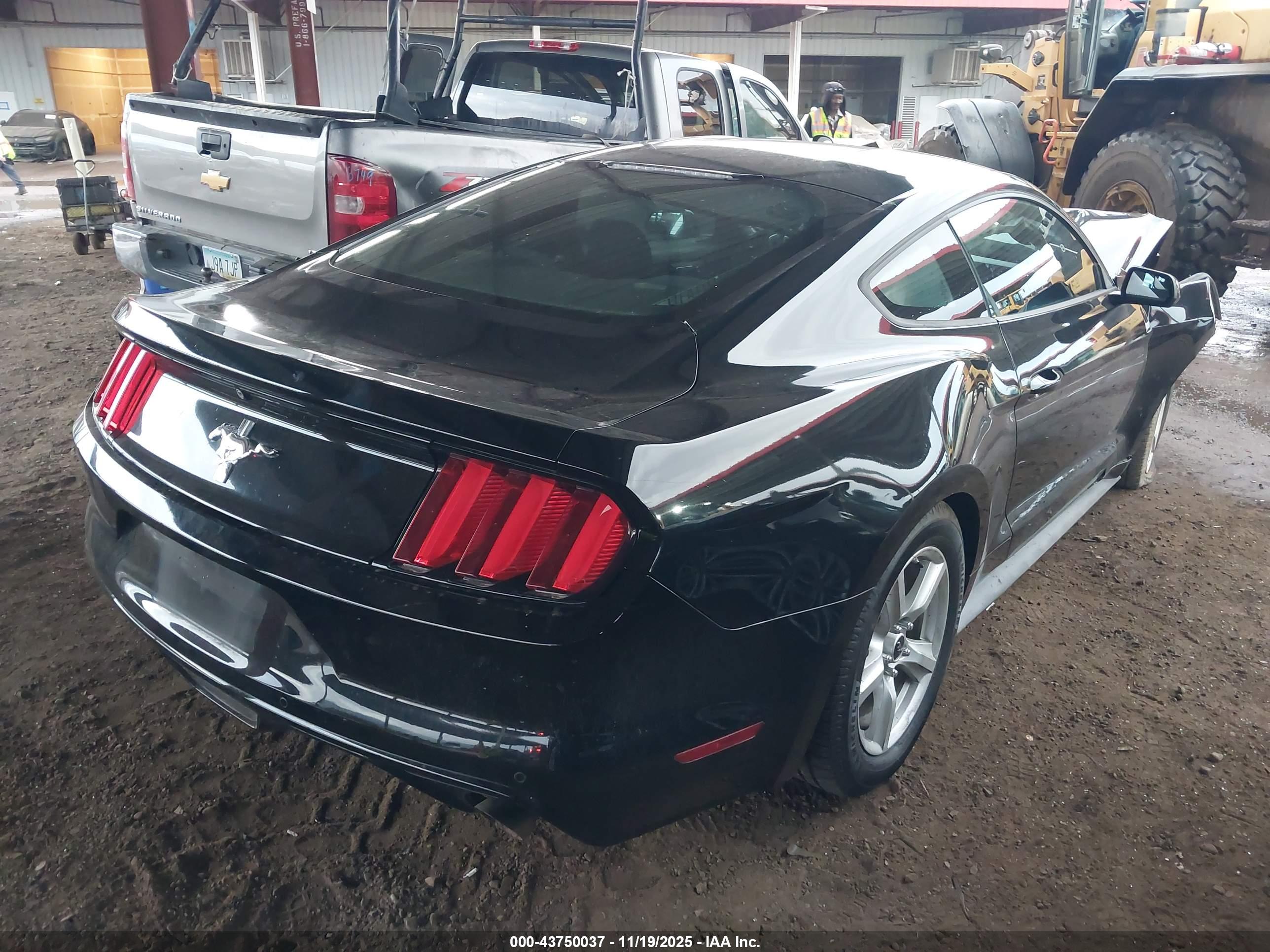 FORD MUSTANG image 4