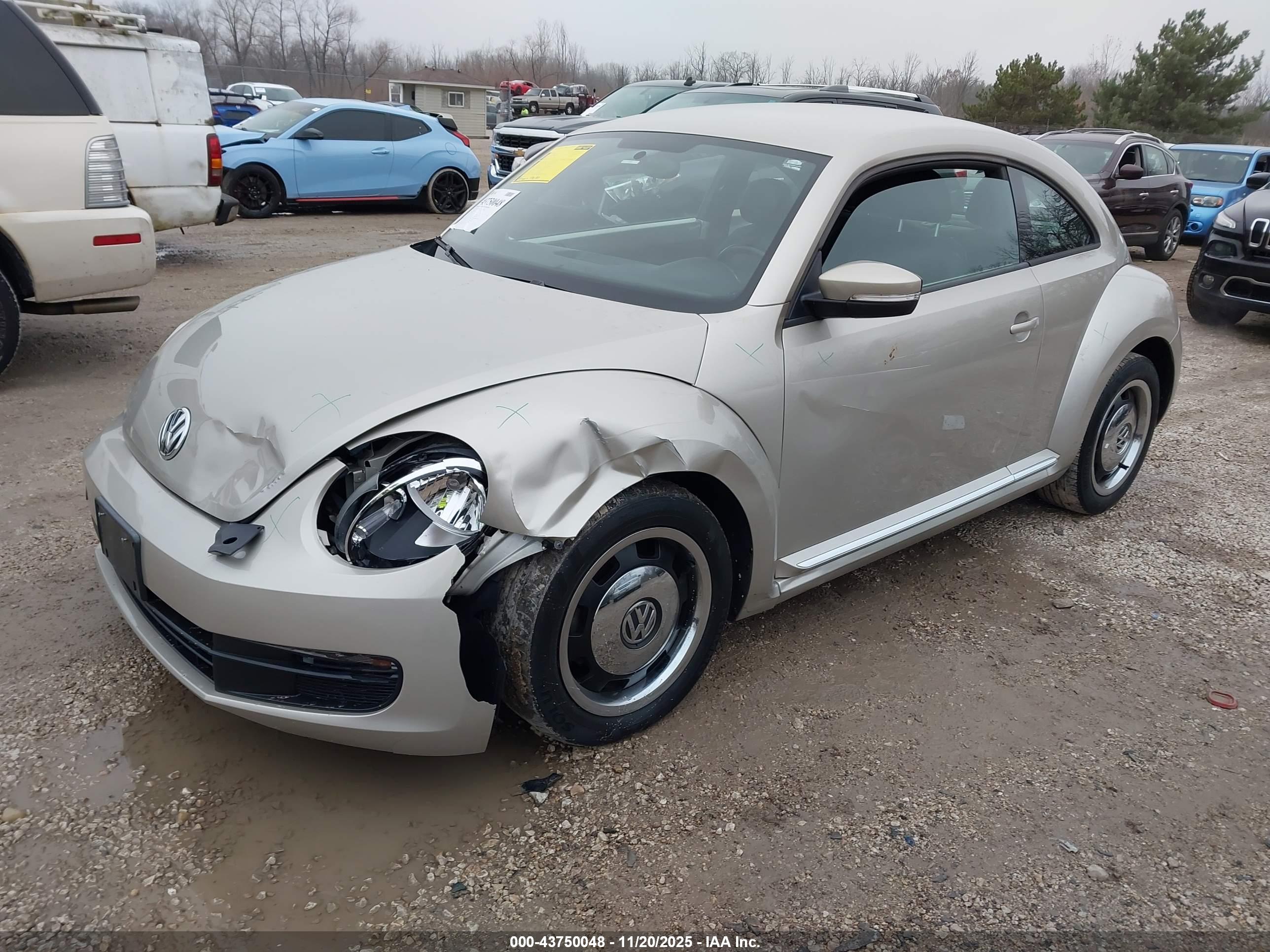 VOLKSWAGEN BEETLE image 2