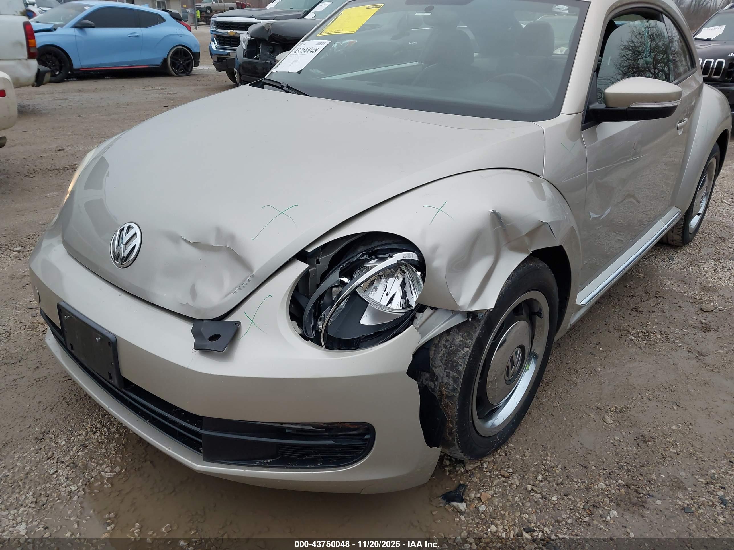VOLKSWAGEN BEETLE image 6