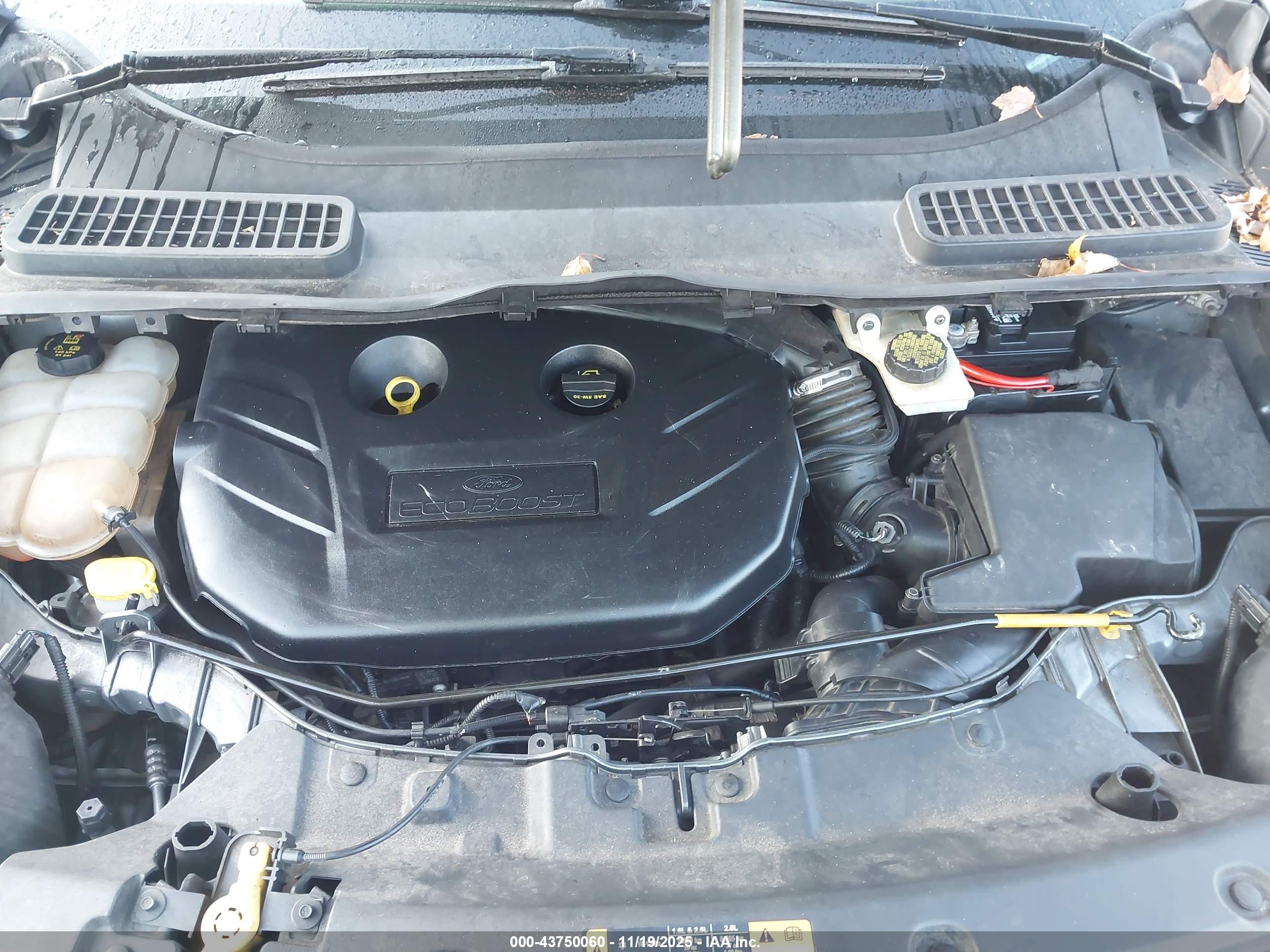FORD ESCAPE image 10