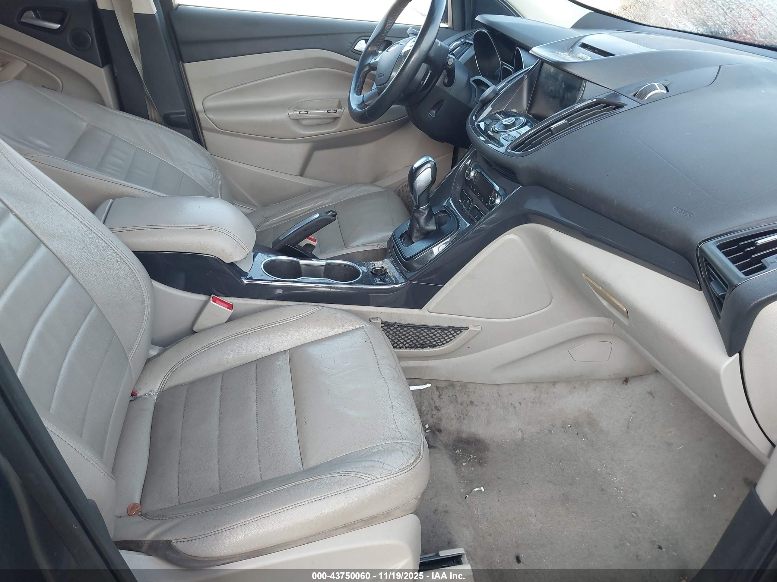 FORD ESCAPE image 5