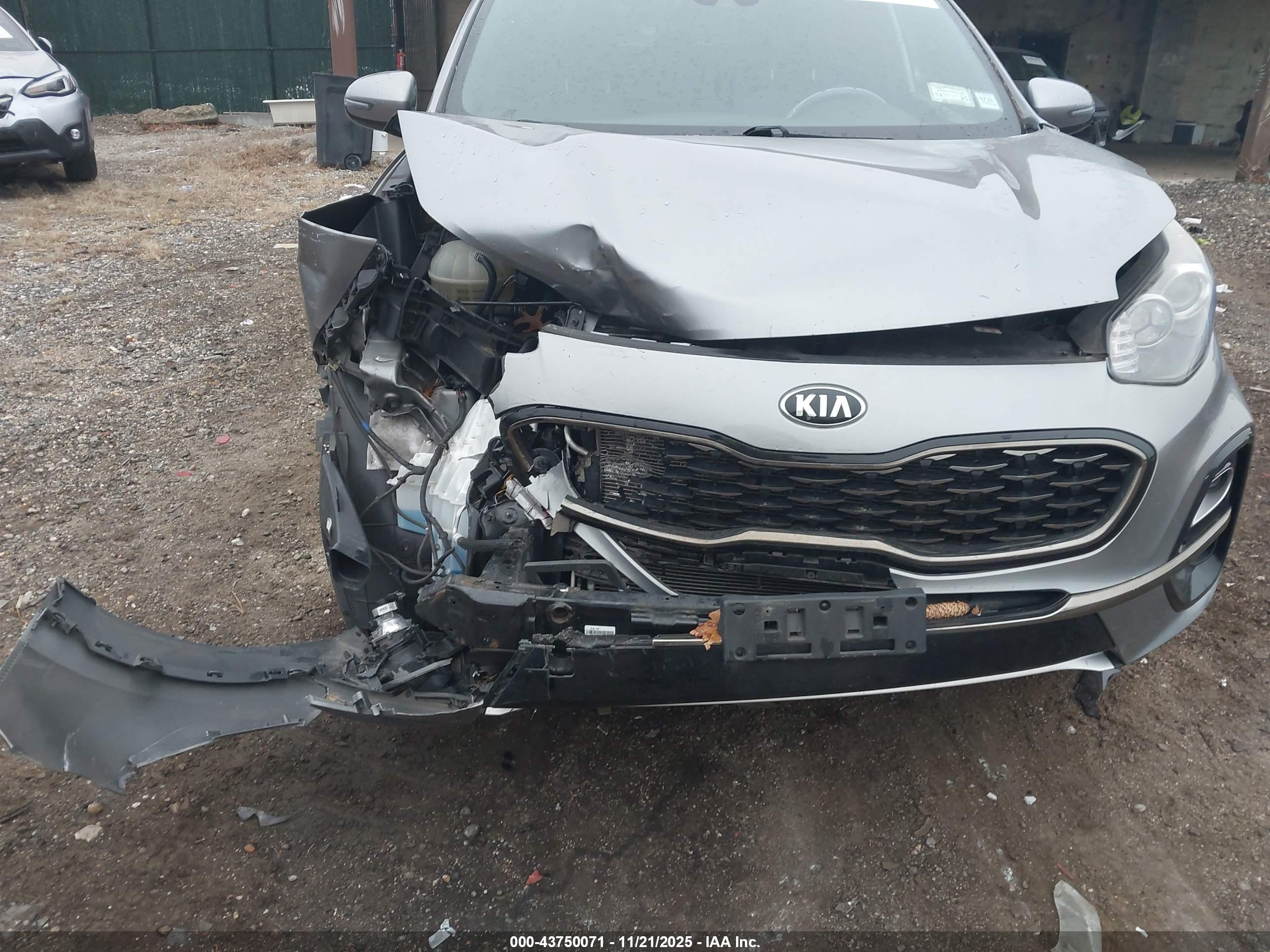 KIA SPORTAGE image 6