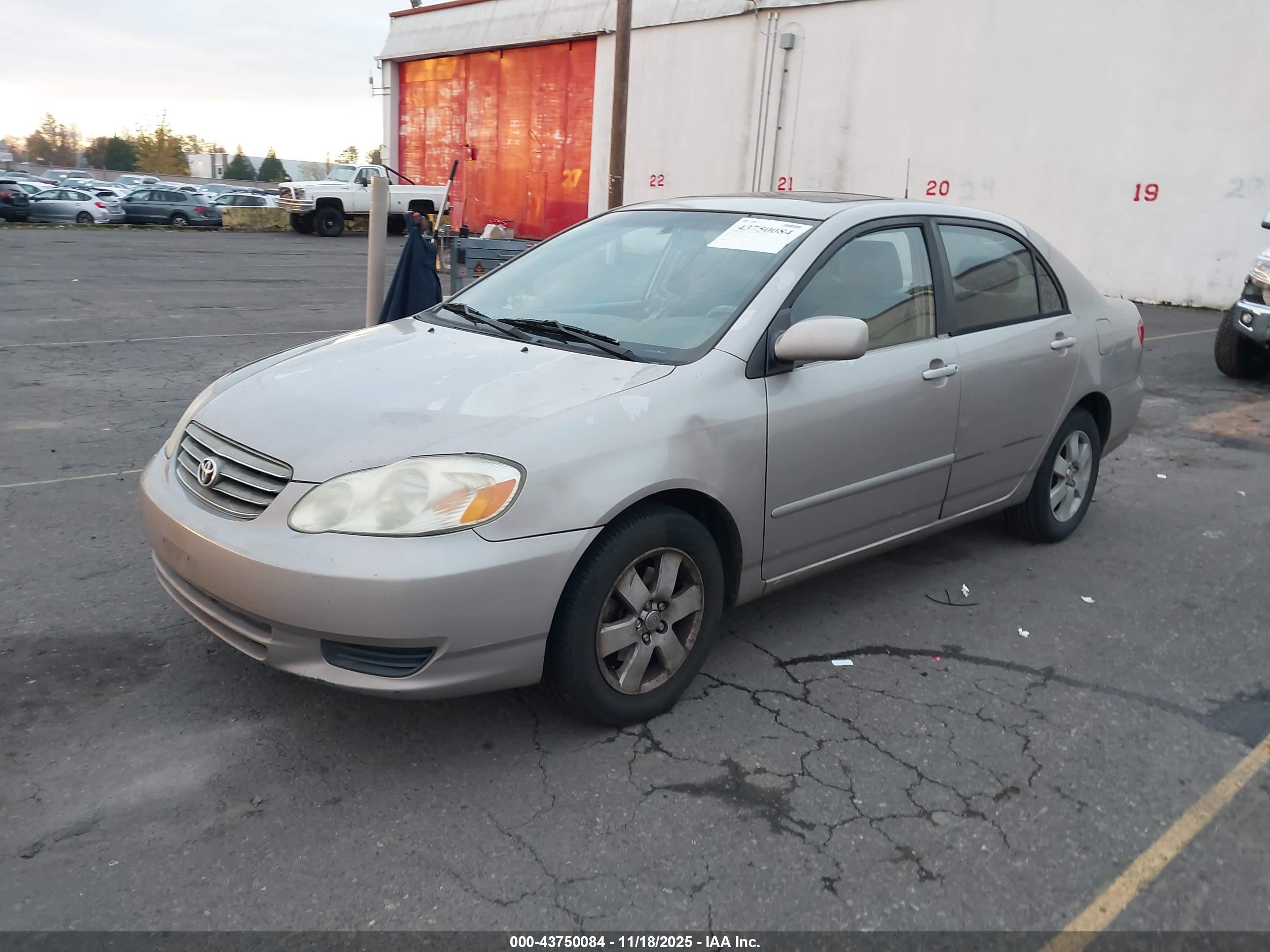 TOYOTA COROLLA image 2