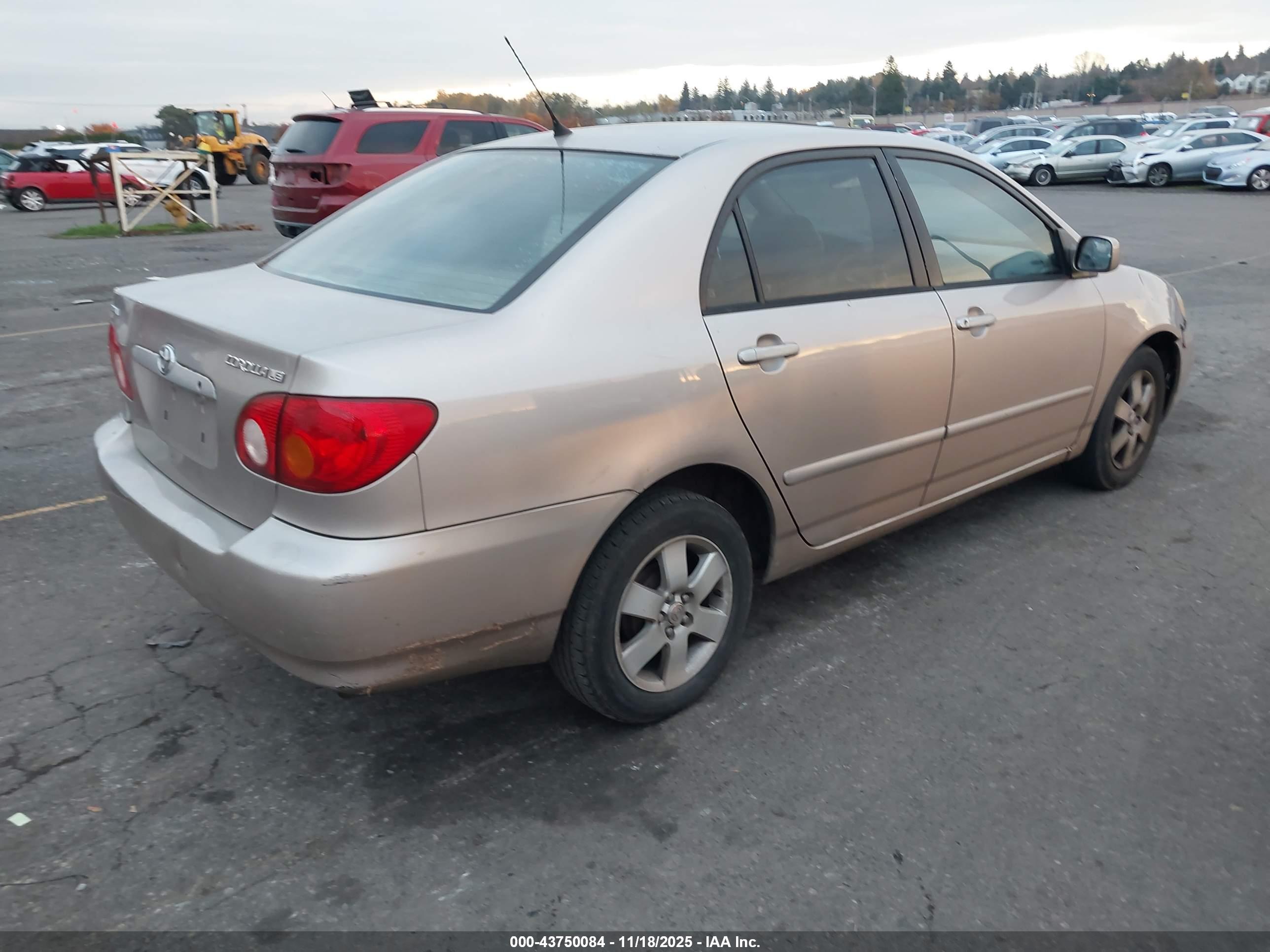 TOYOTA COROLLA image 4