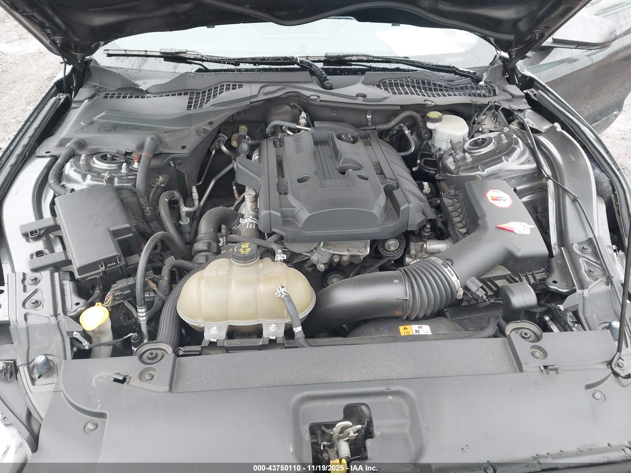 FORD MUSTANG image 10