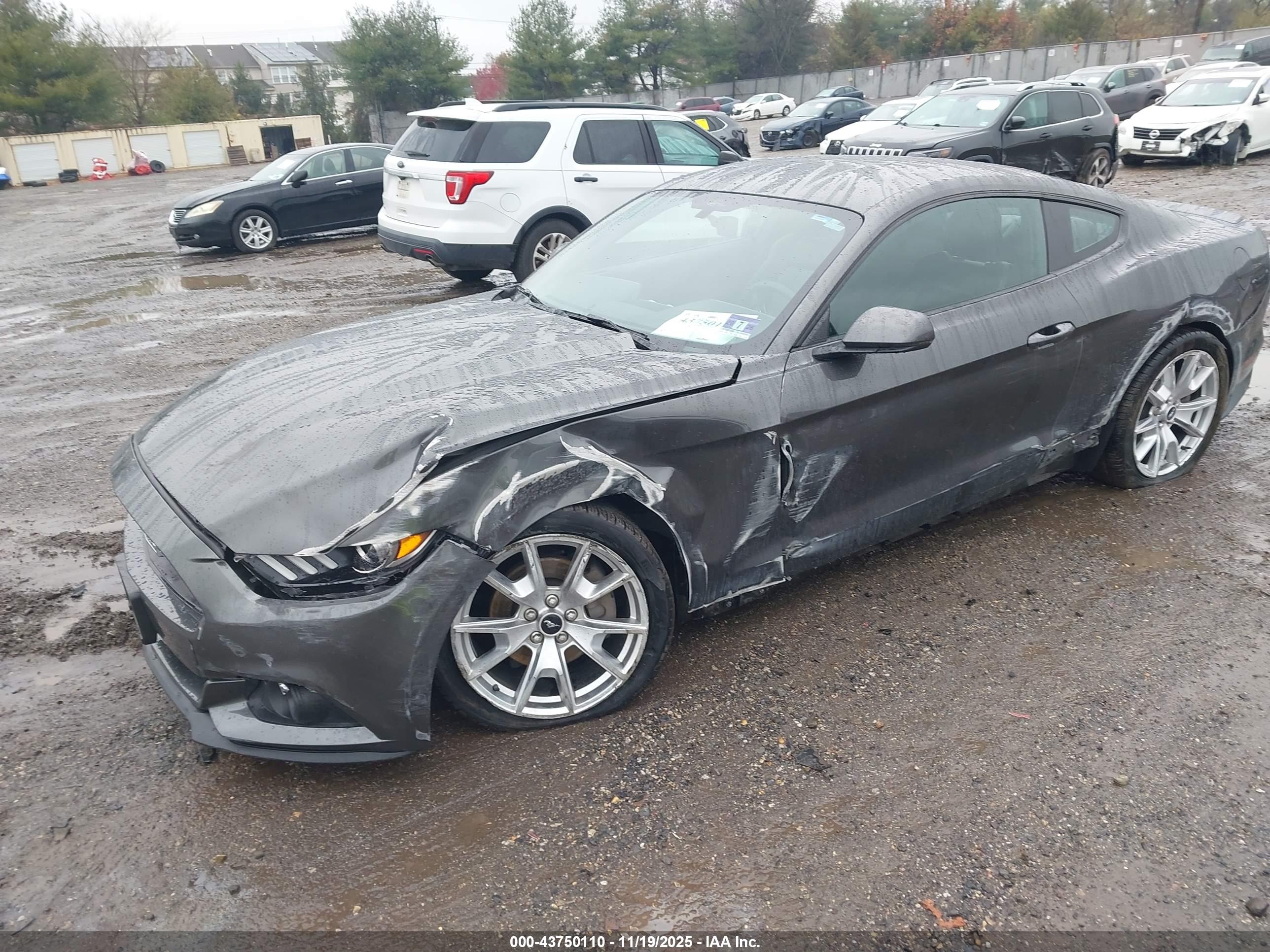 FORD MUSTANG image 2