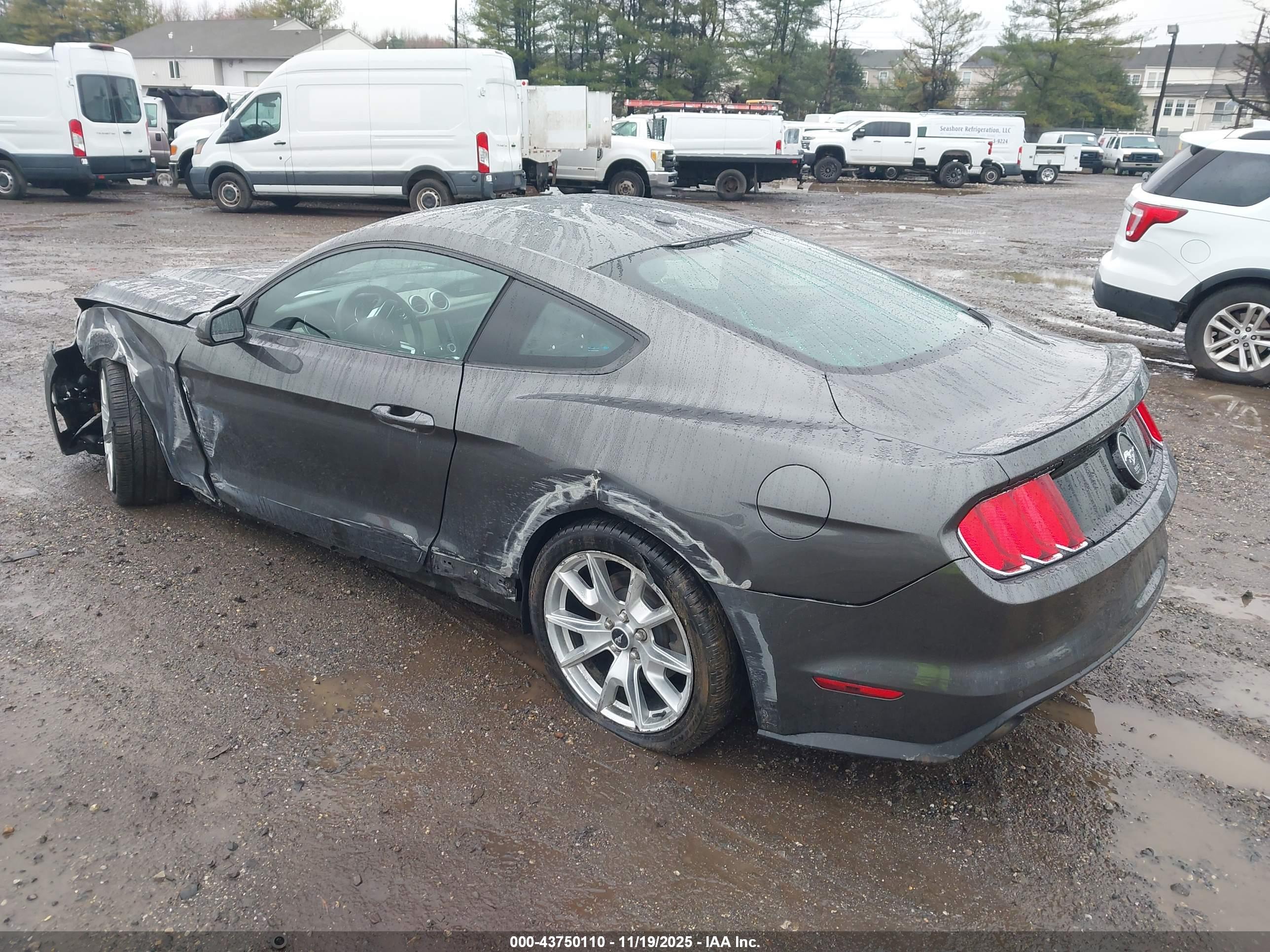FORD MUSTANG image 3