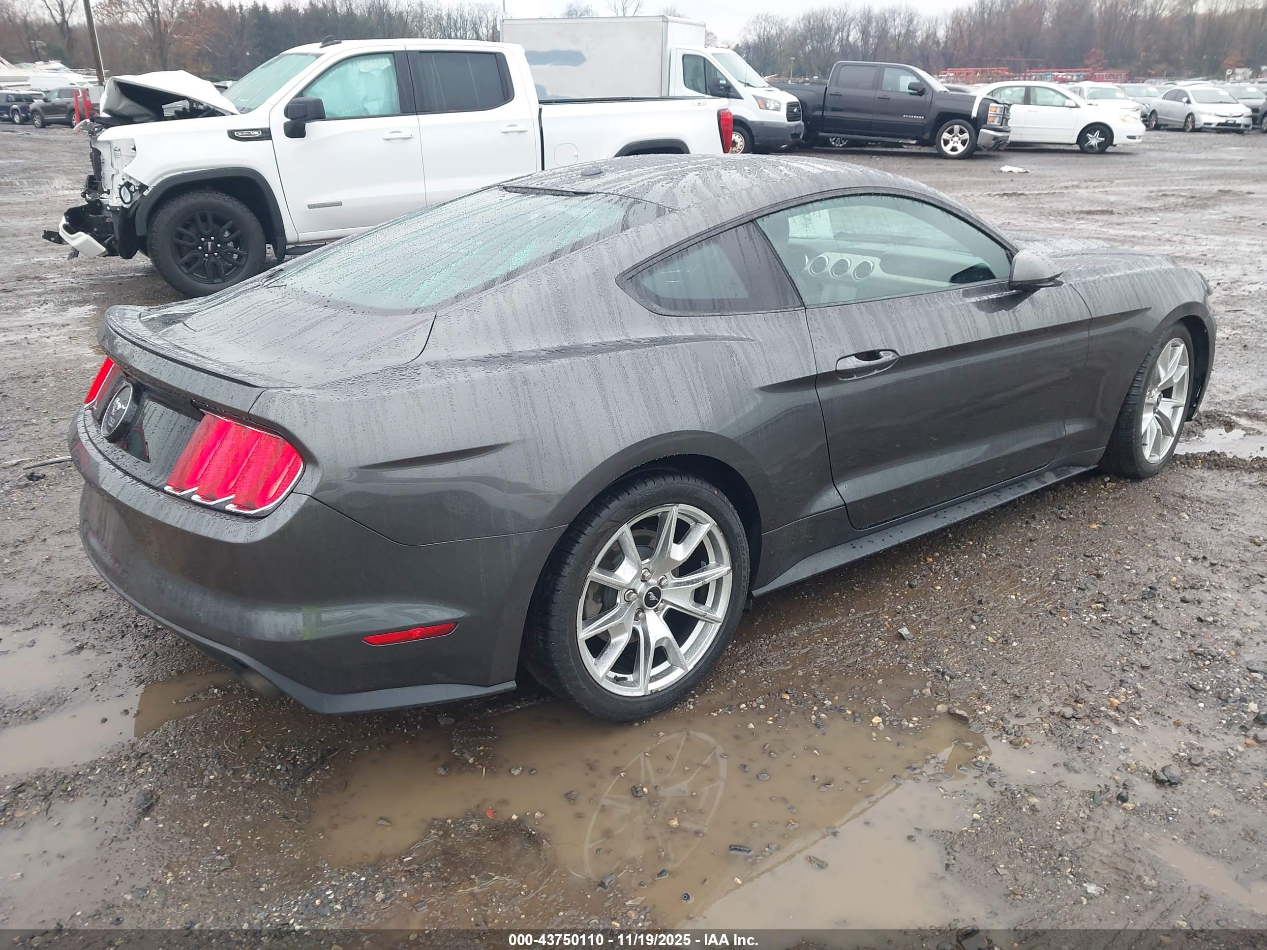 FORD MUSTANG image 4