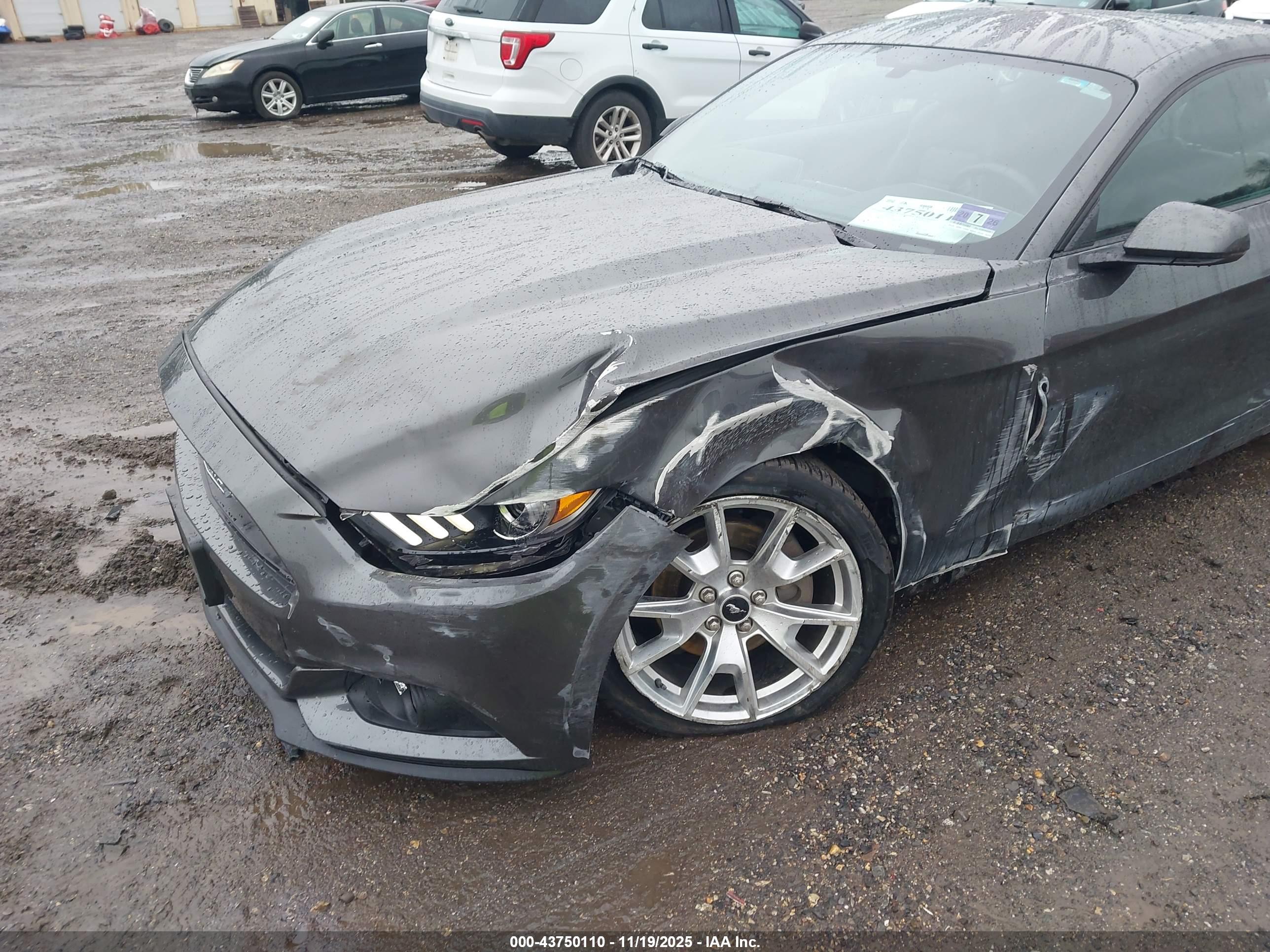 FORD MUSTANG image 6