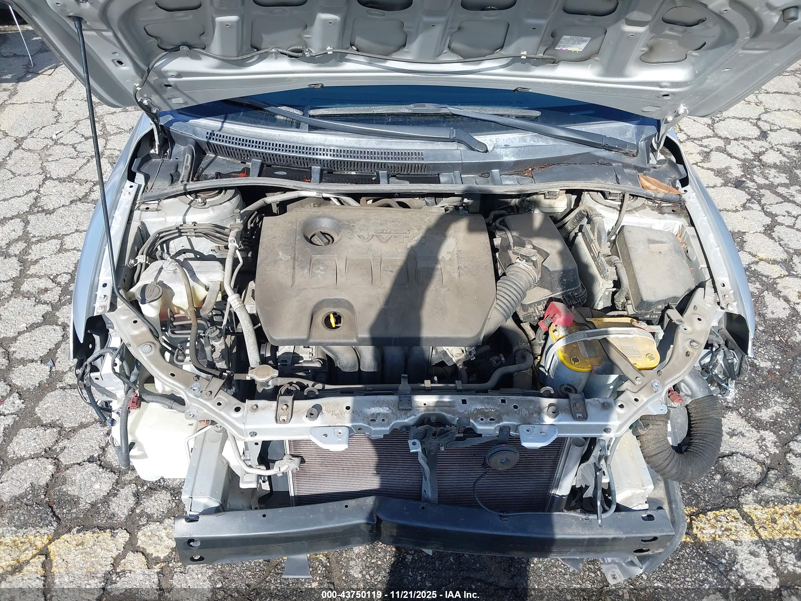 TOYOTA COROLLA image 10