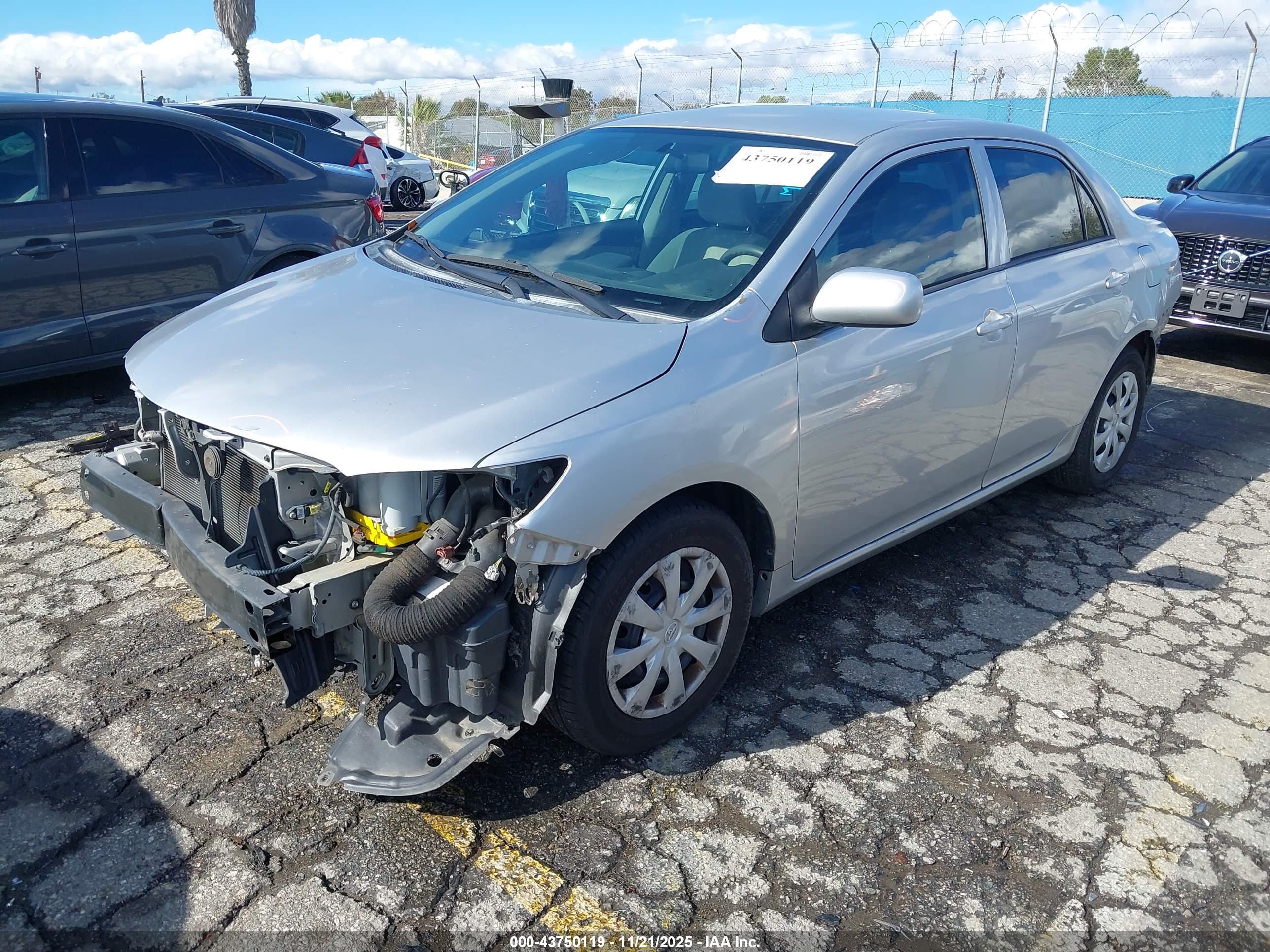 TOYOTA COROLLA image 2