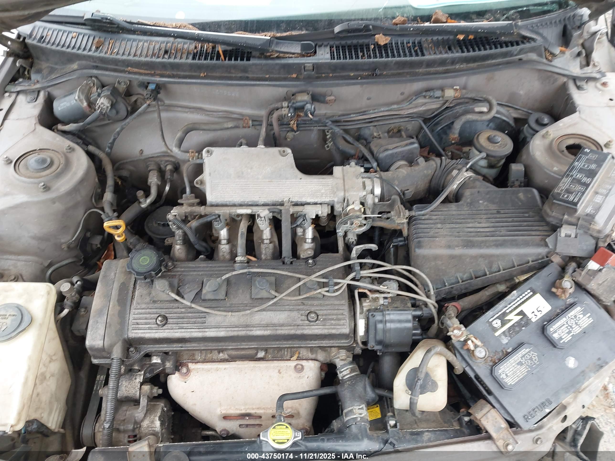 TOYOTA COROLLA image 10