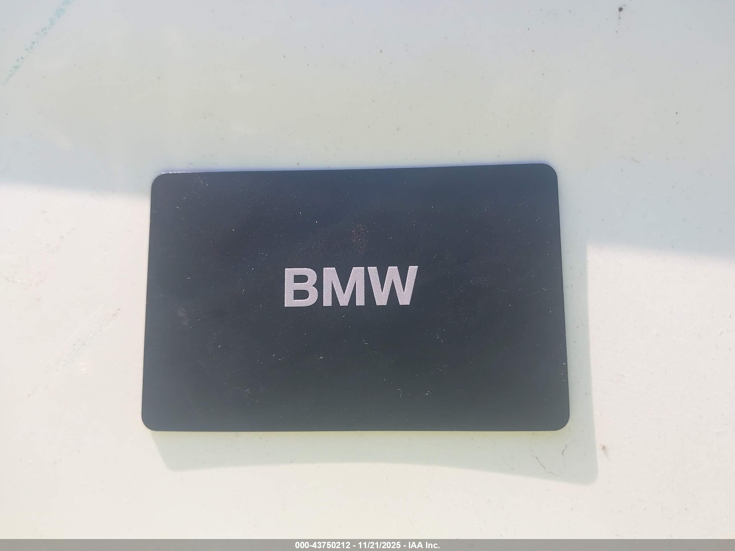 BMW X1 image 11