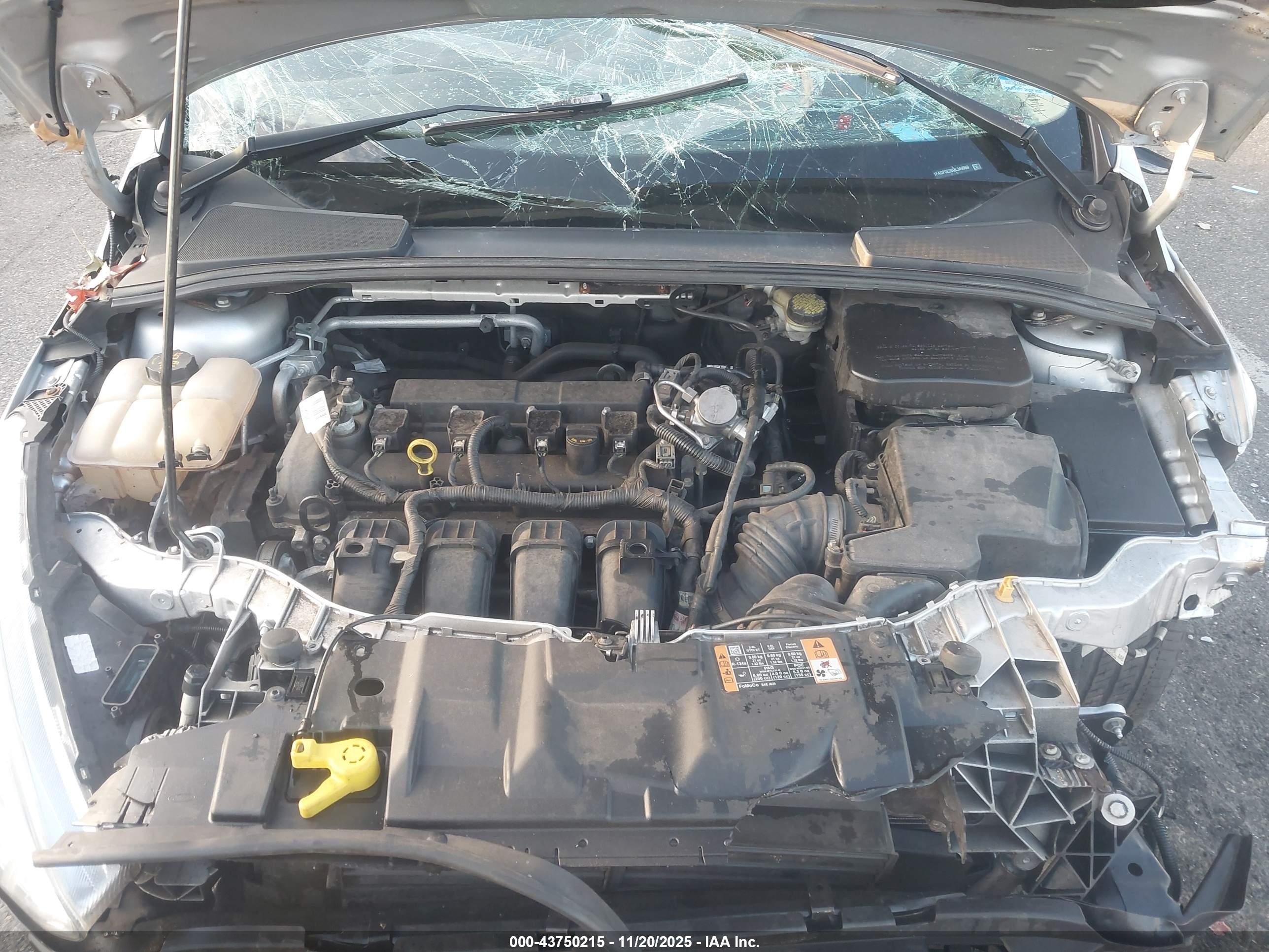 FORD FOCUS image 10