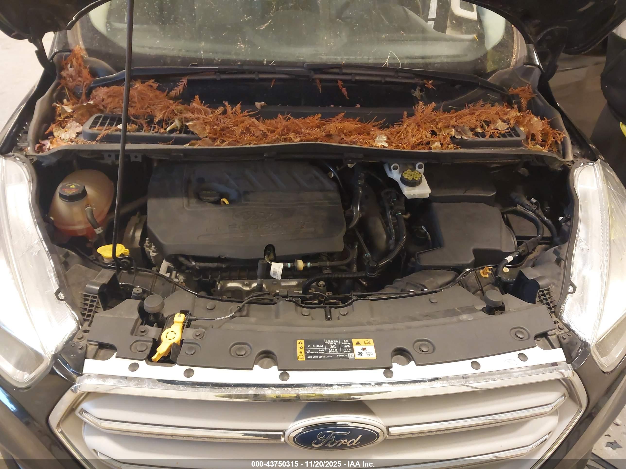 FORD ESCAPE image 10