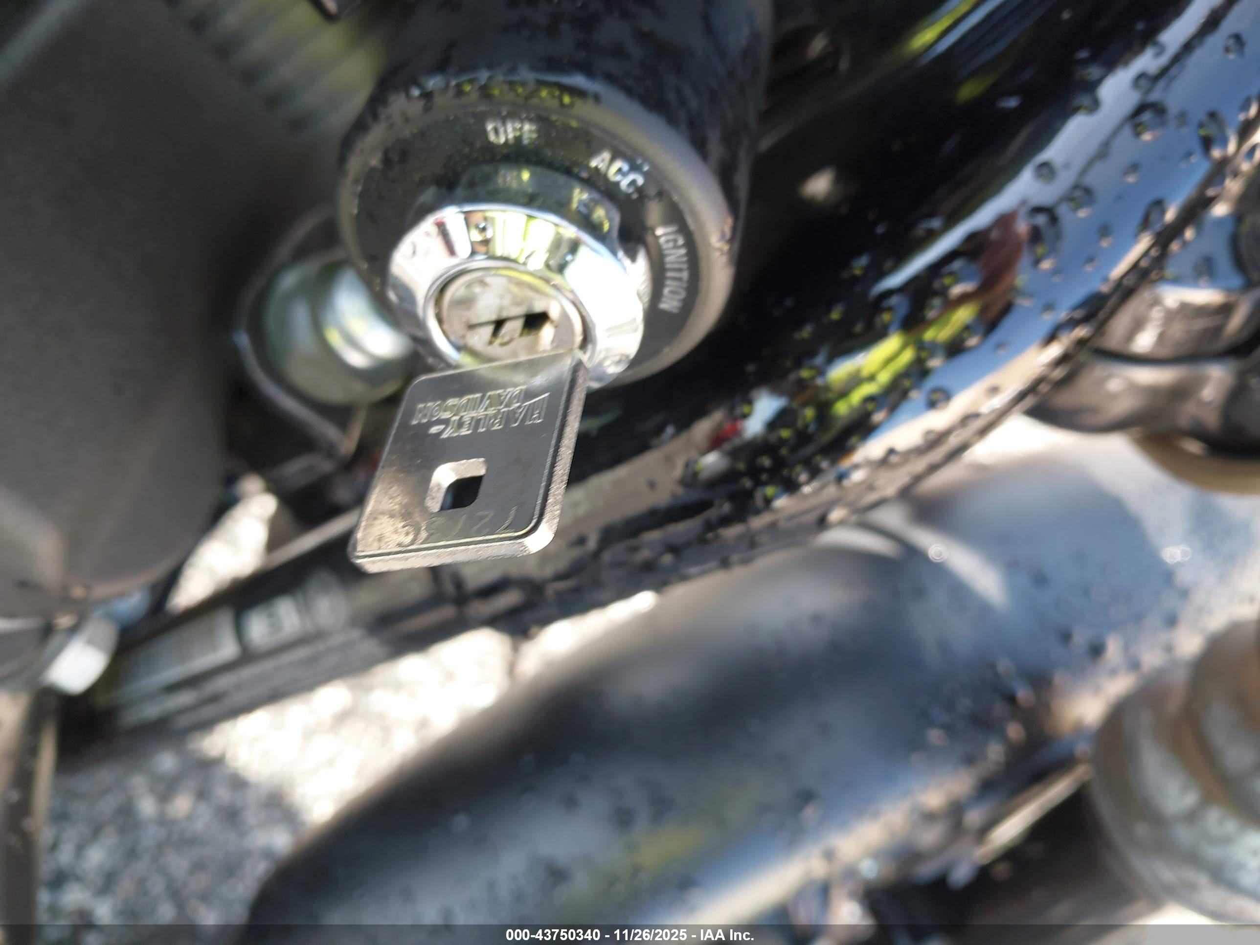HARLEY-DAVIDSON XL883 image 11