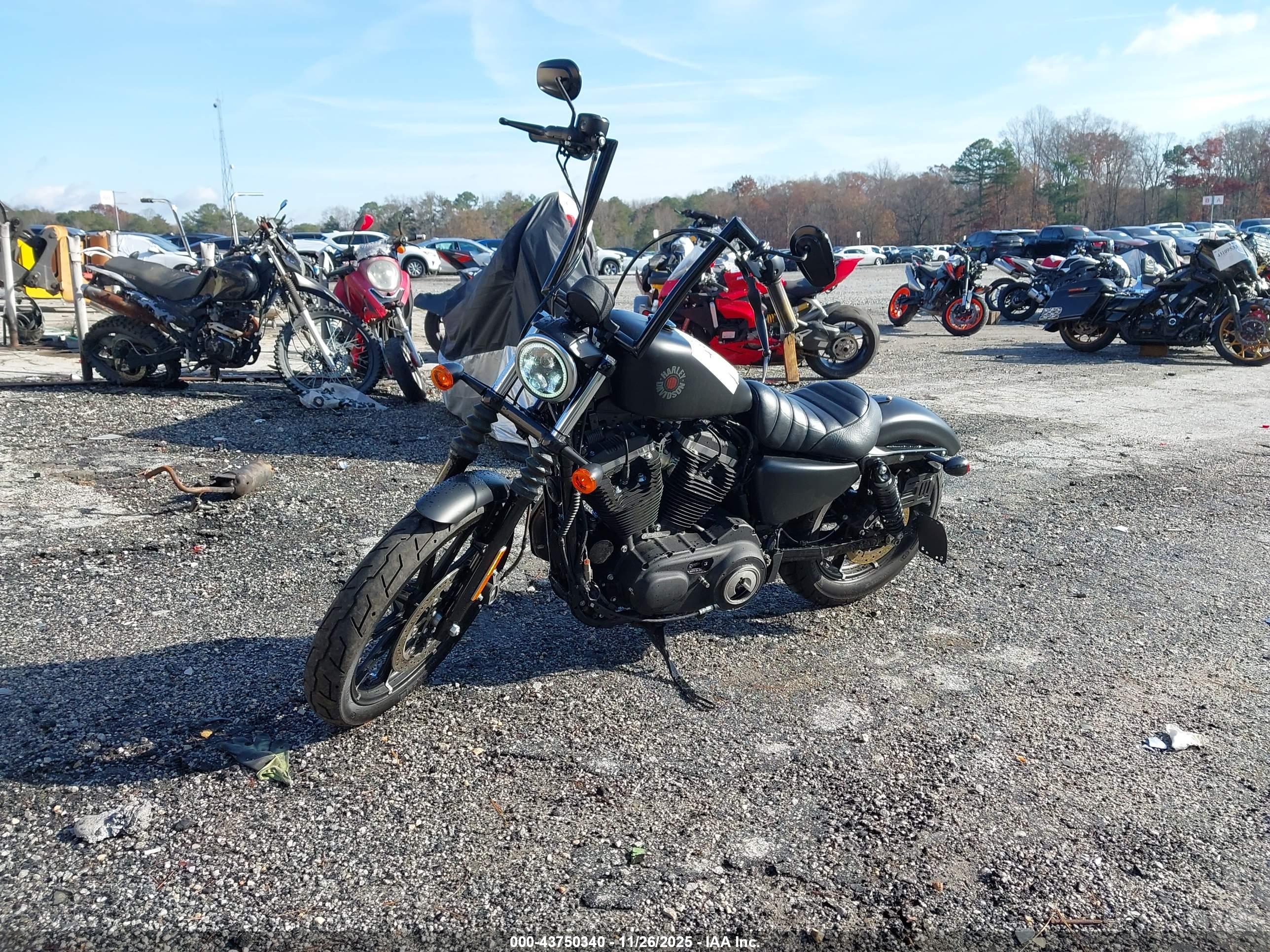 HARLEY-DAVIDSON XL883 image 2