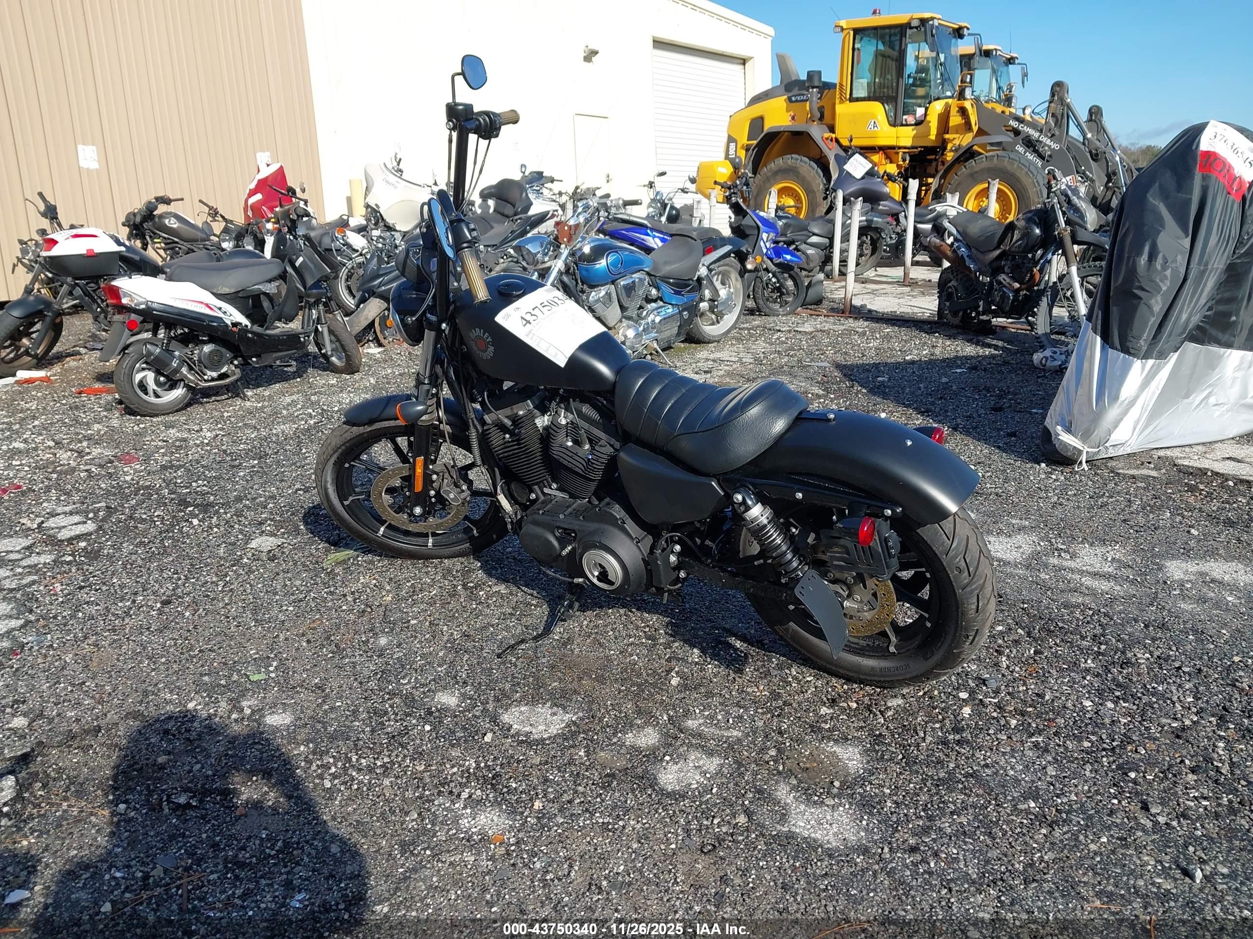 HARLEY-DAVIDSON XL883 image 3