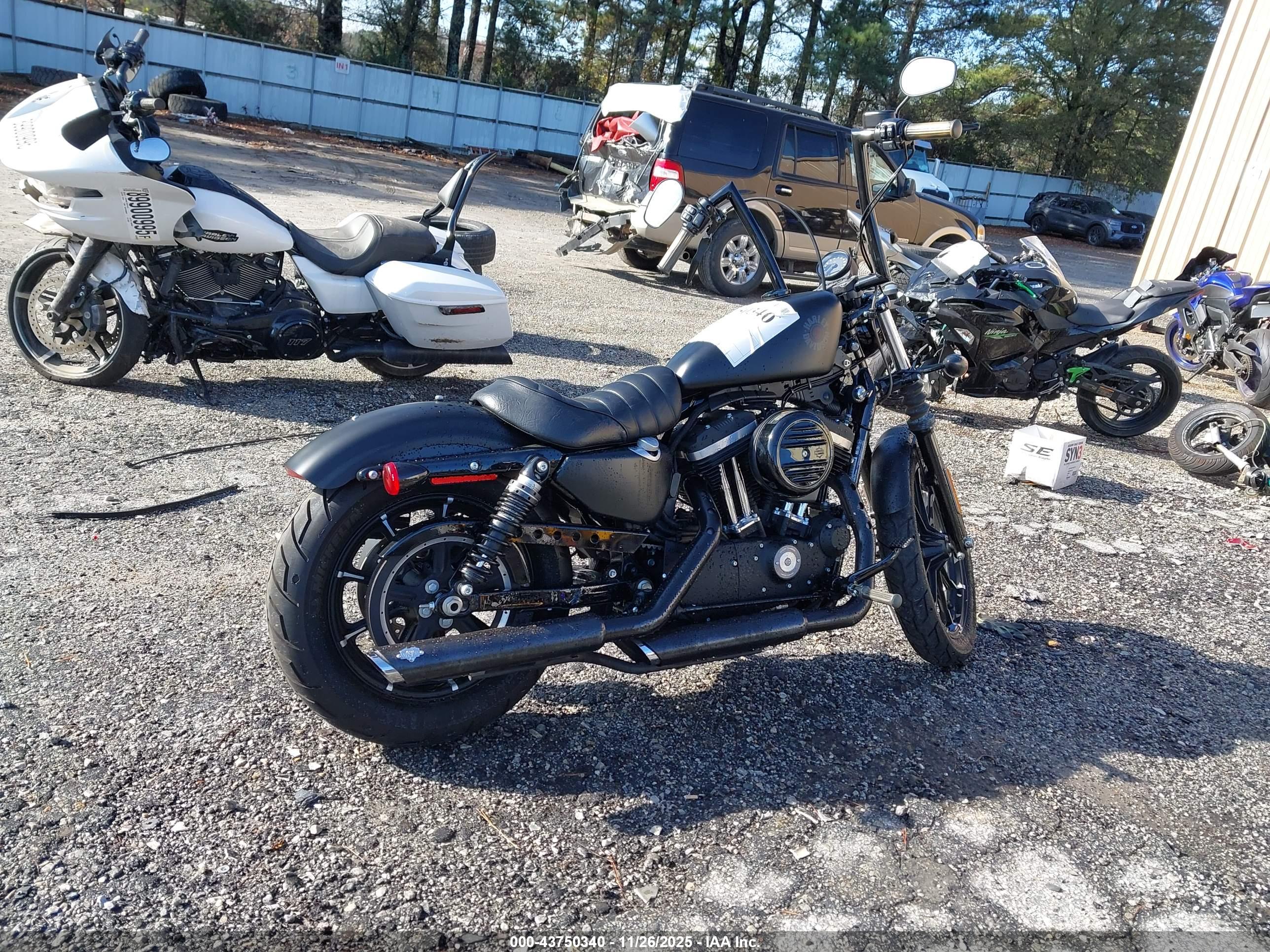 HARLEY-DAVIDSON XL883 image 4