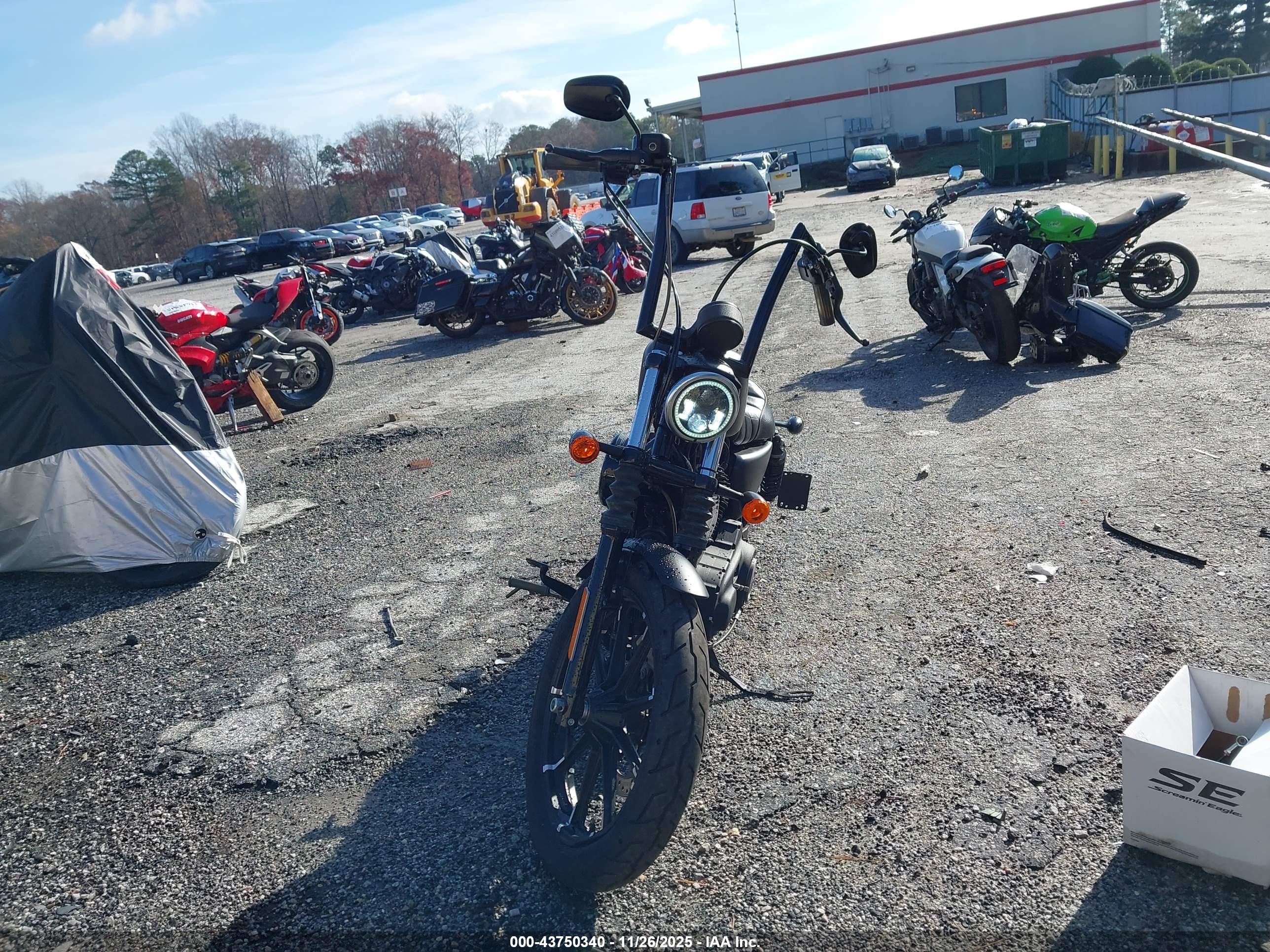 HARLEY-DAVIDSON XL883 image 5