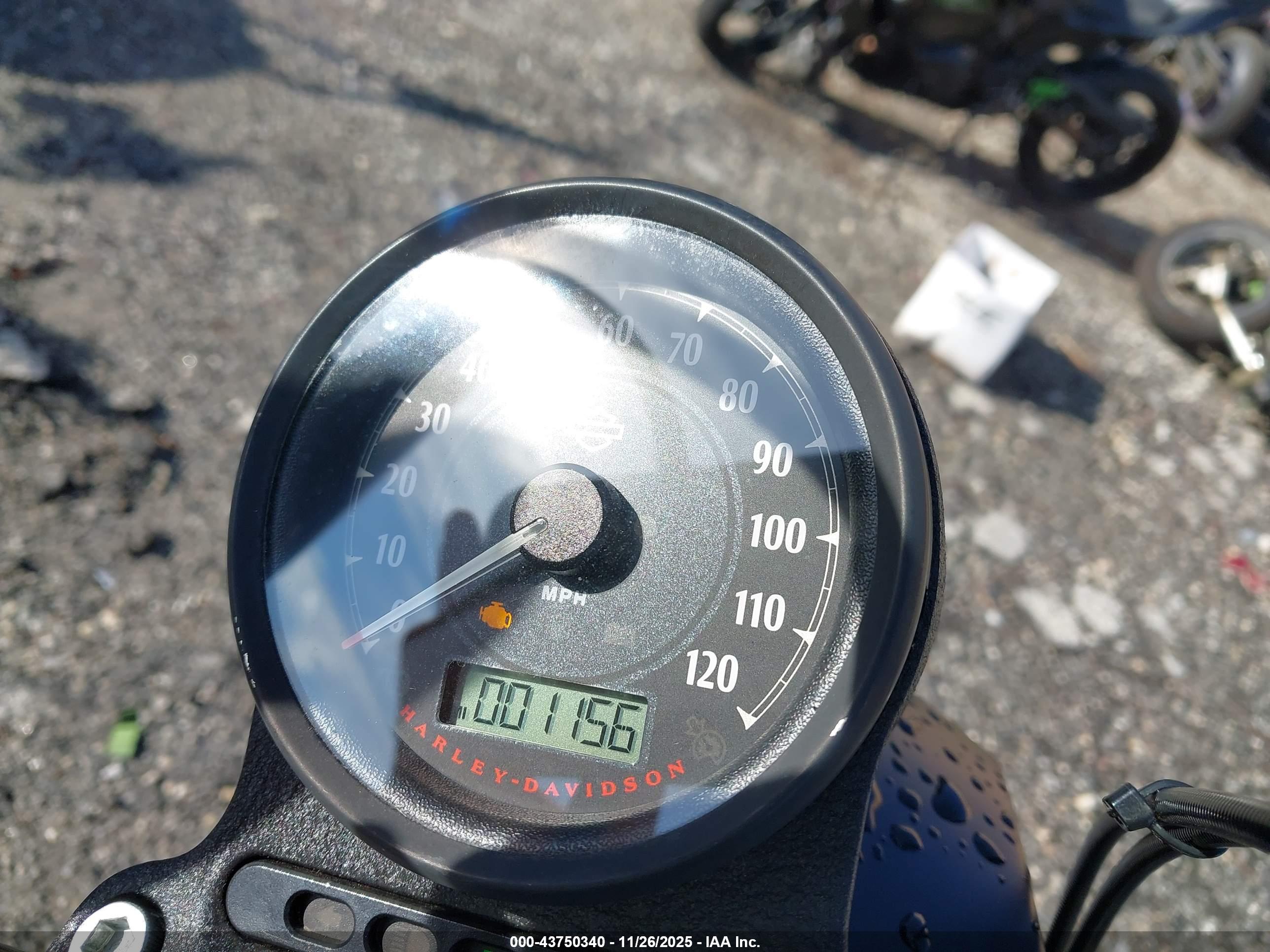 HARLEY-DAVIDSON XL883 image 7