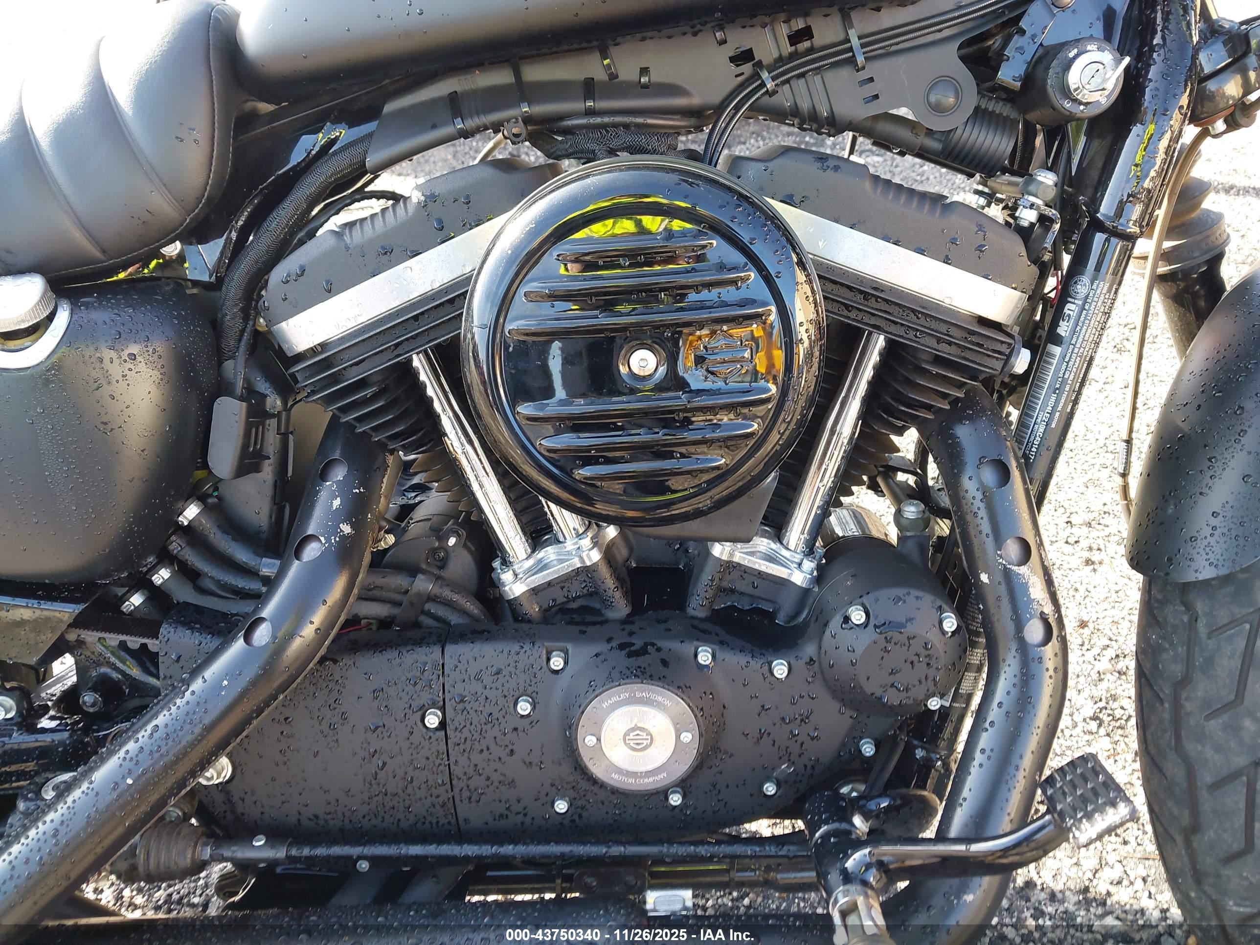 HARLEY-DAVIDSON XL883 image 8