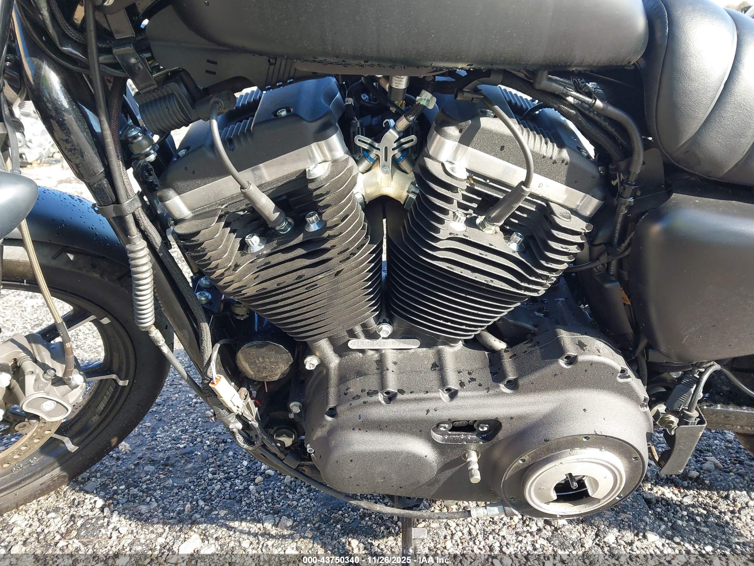 HARLEY-DAVIDSON XL883 image 9