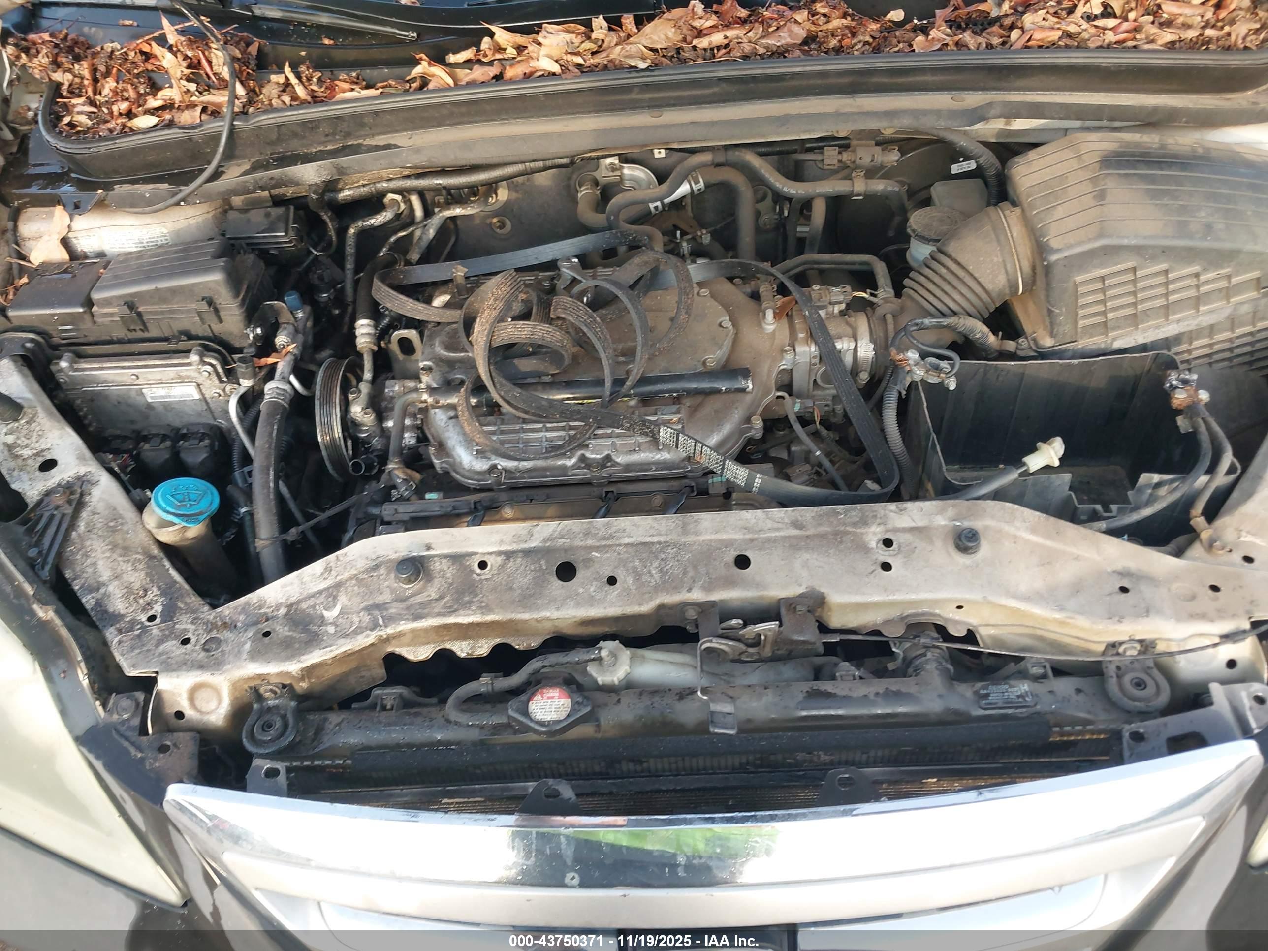 HONDA ODYSSEY image 6